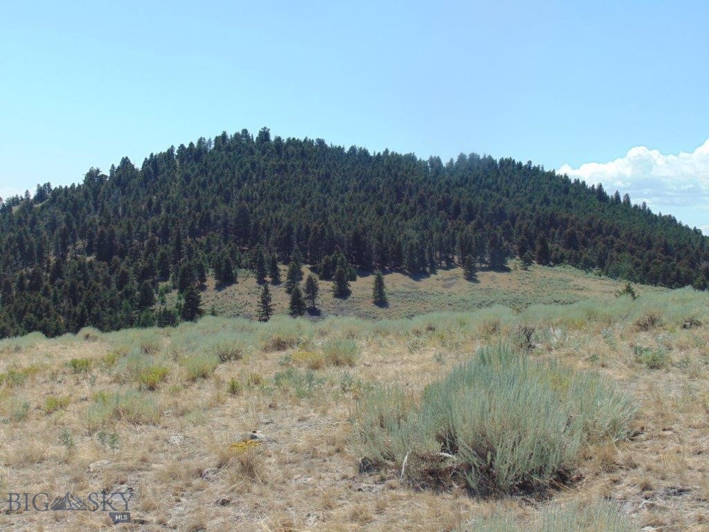 TBD Badger Creek Road