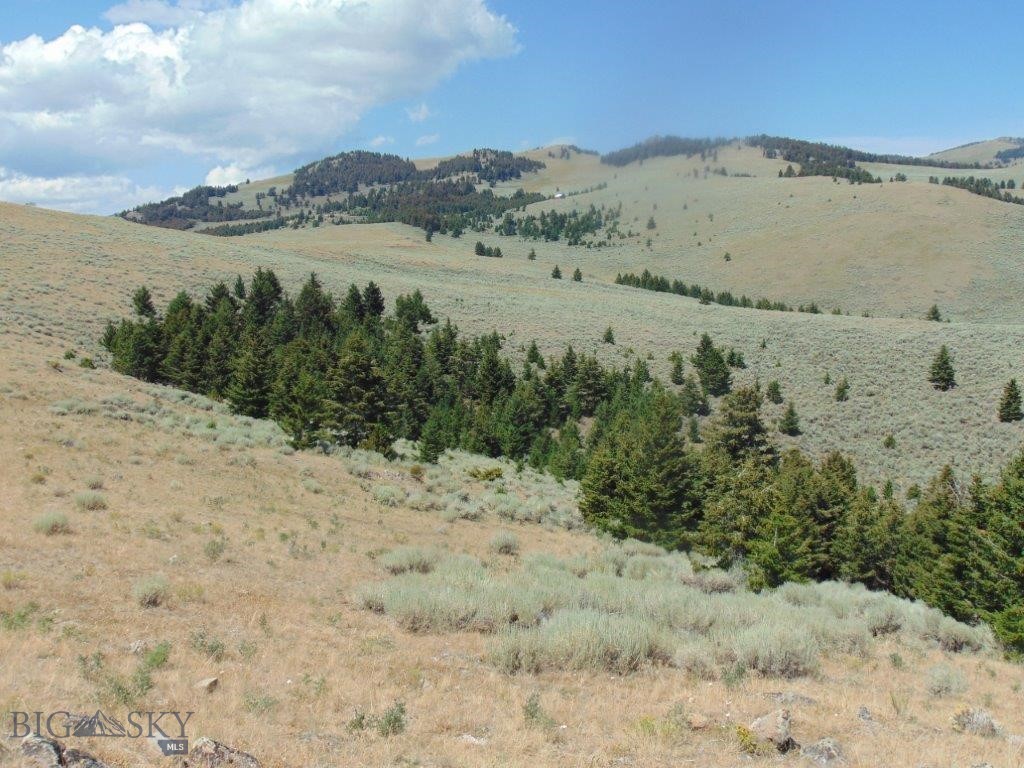 TBD Badger Creek Road