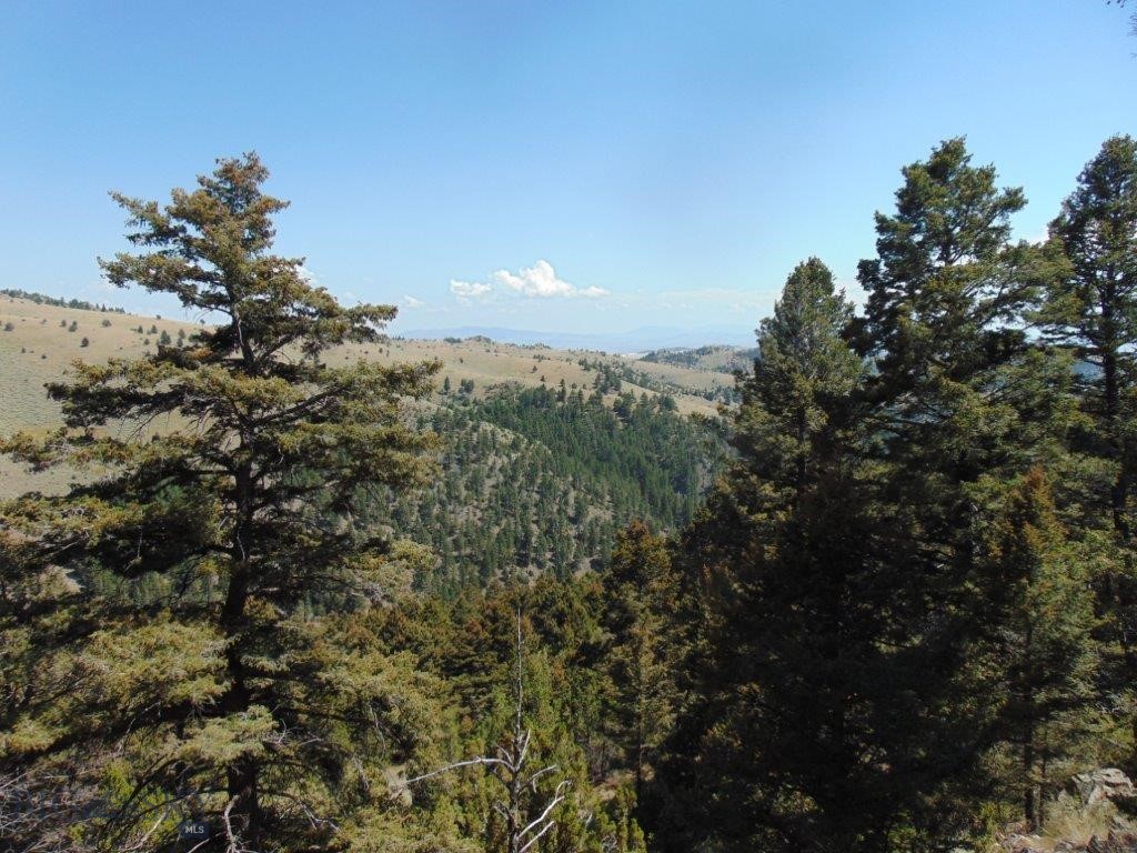 TBD Badger Creek Road