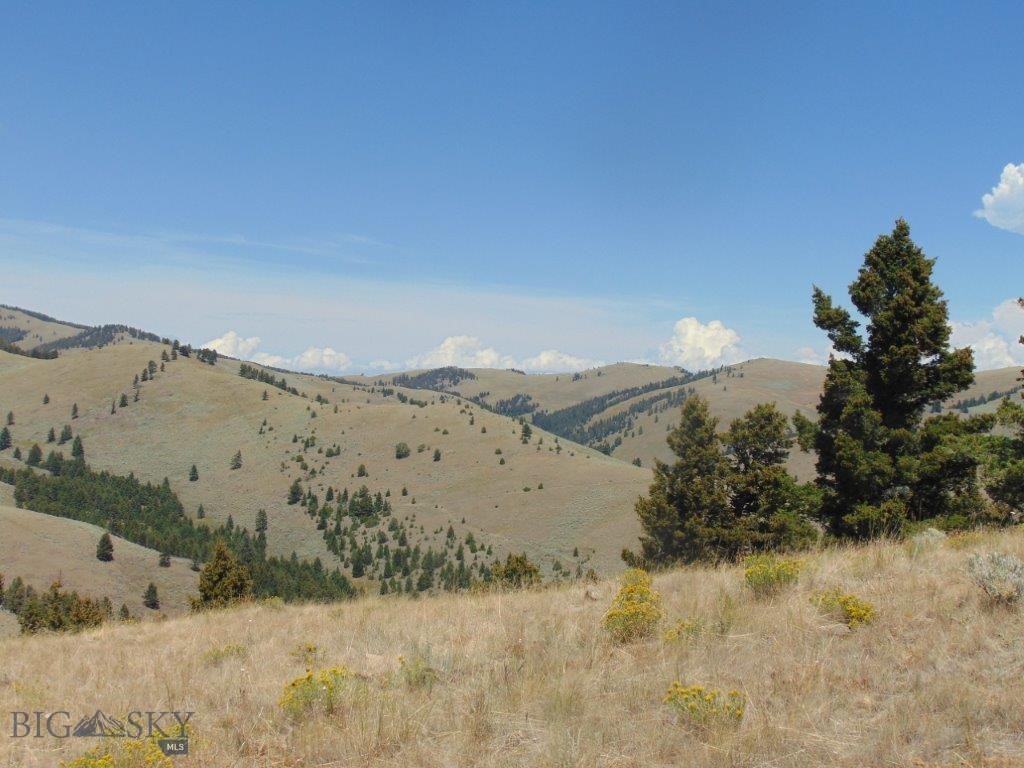 TBD Badger Creek Road