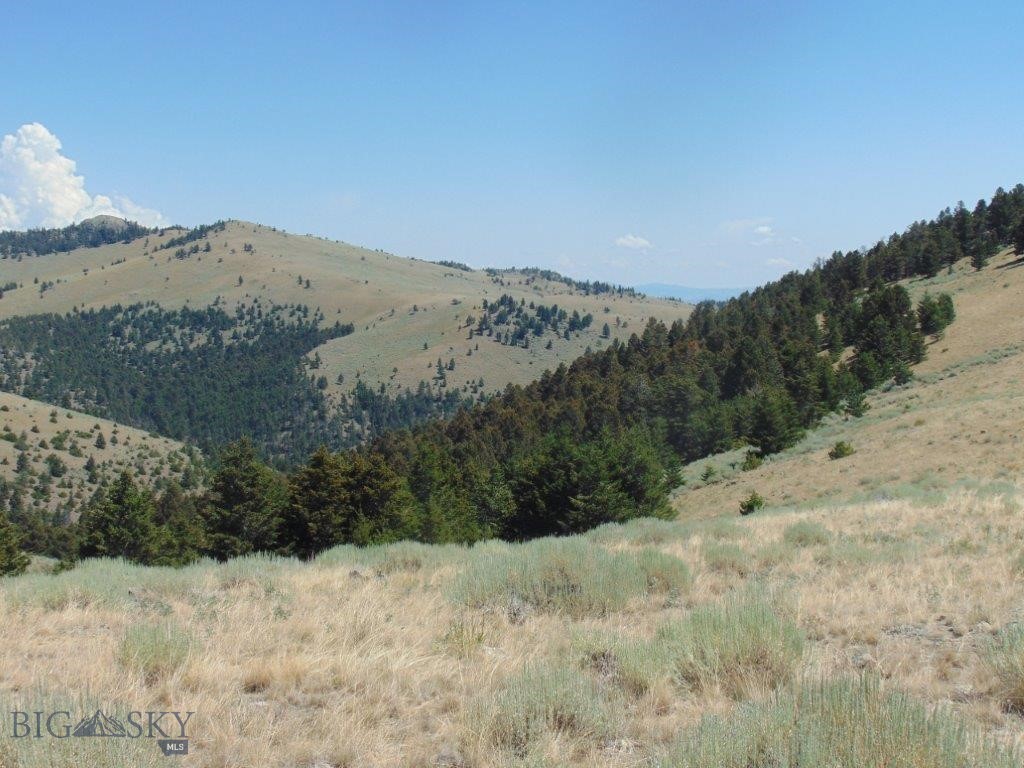 TBD Badger Creek Road