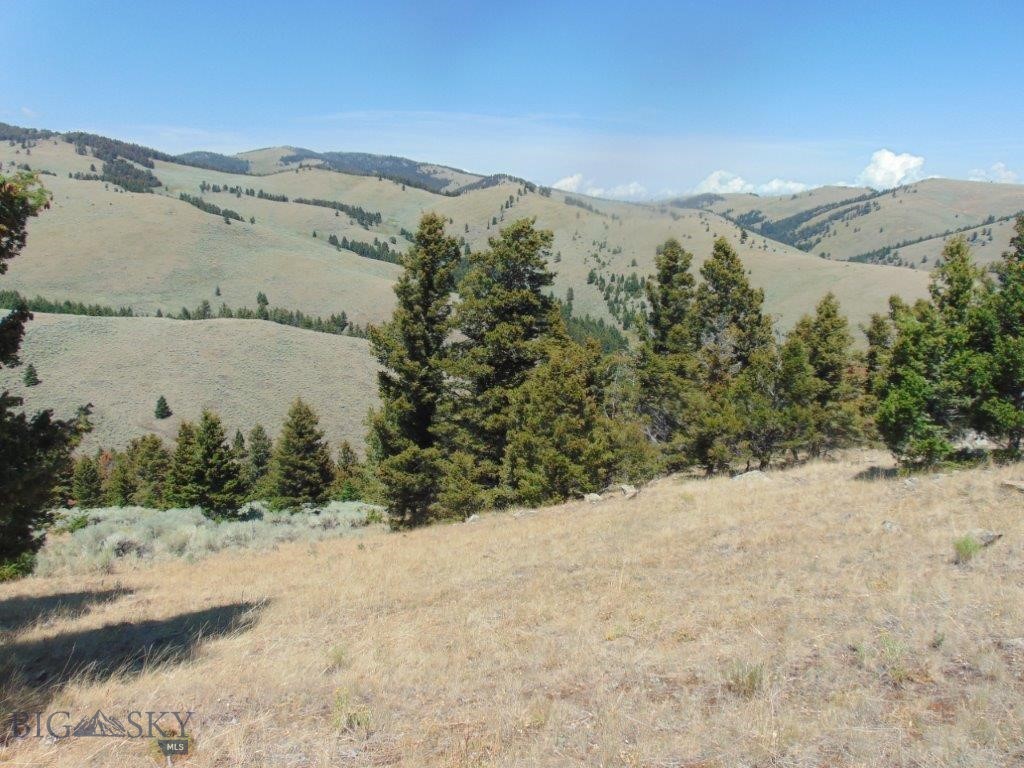 TBD Badger Creek Road