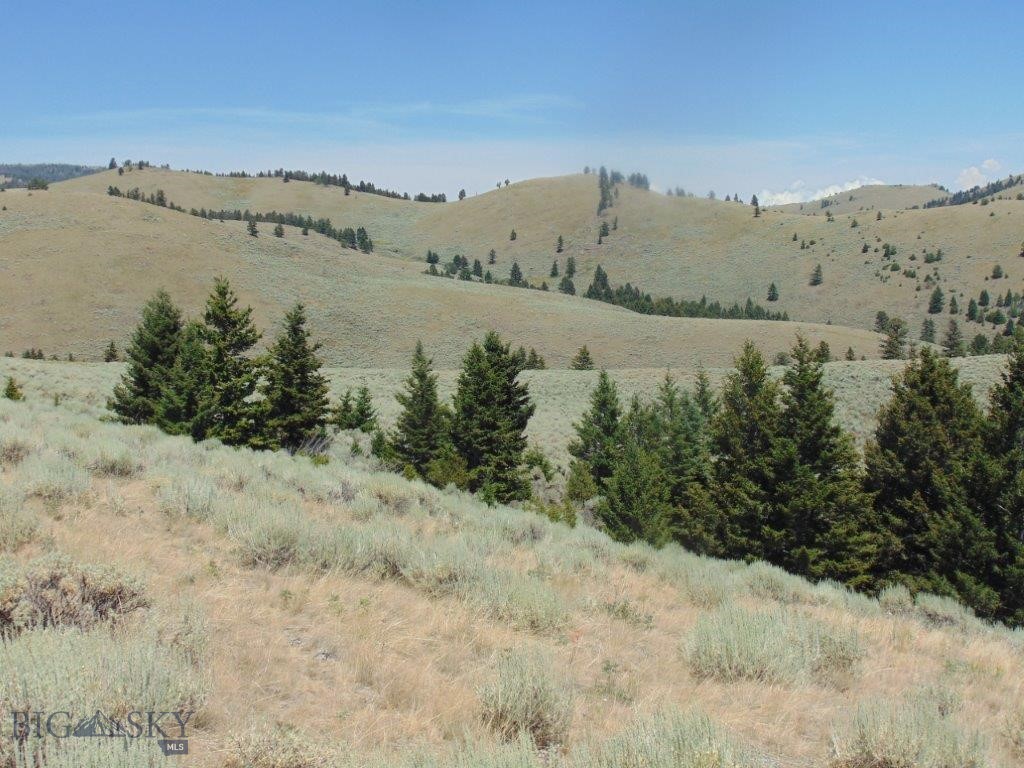 TBD Badger Creek Road