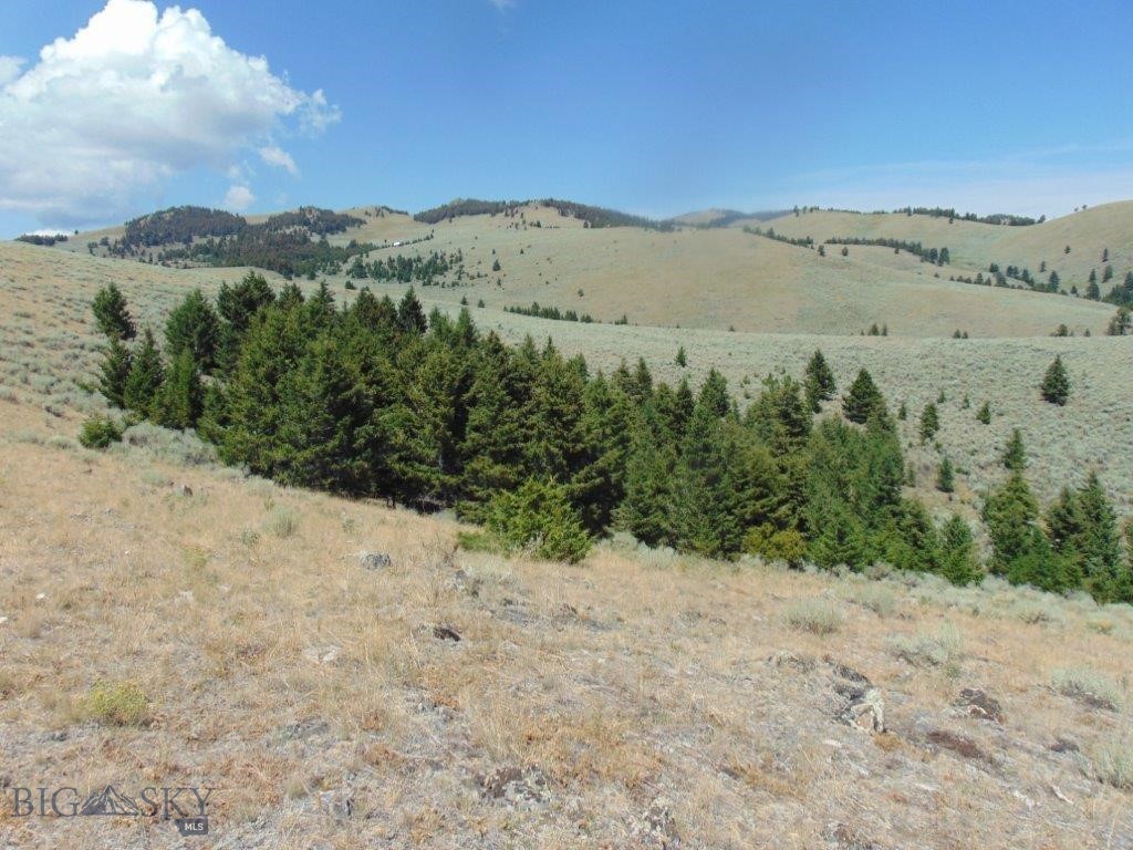 TBD Badger Creek Road