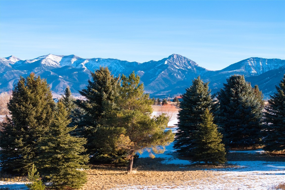 Bozeman
