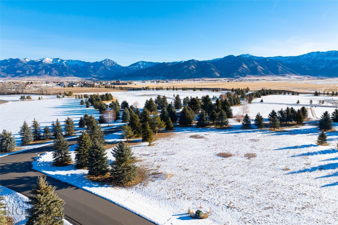 Bozeman