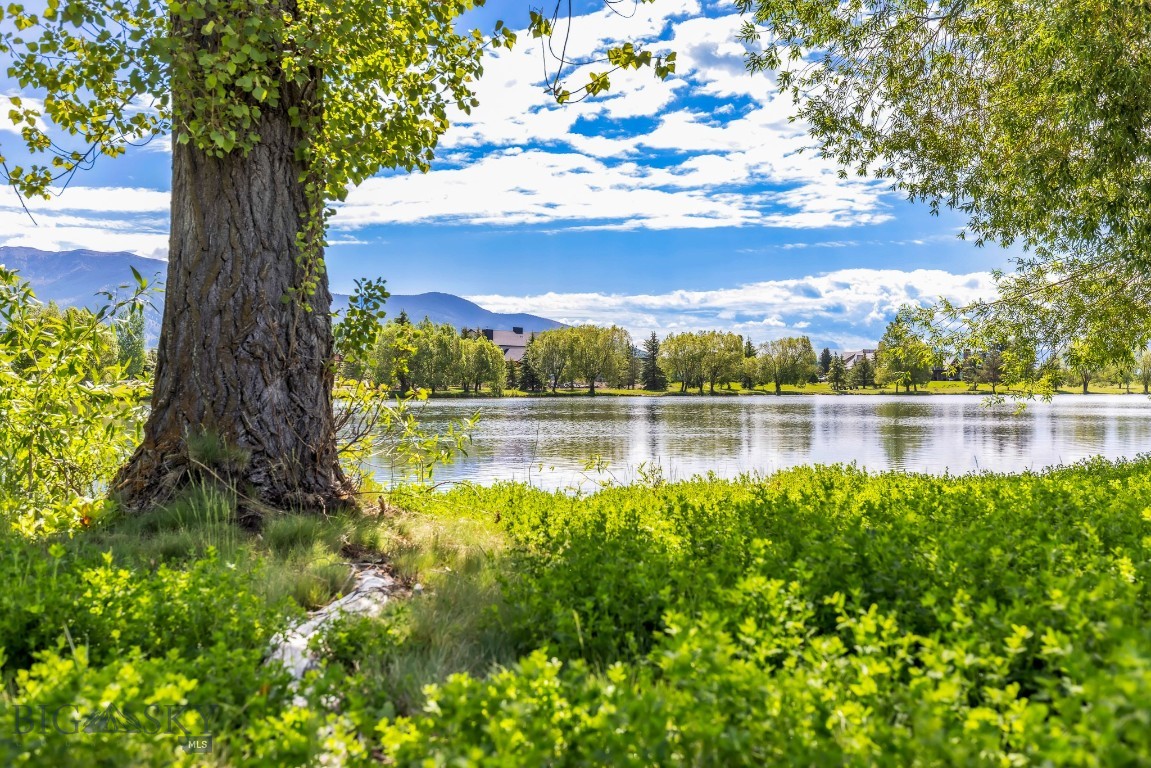 TBD Bridger Lake