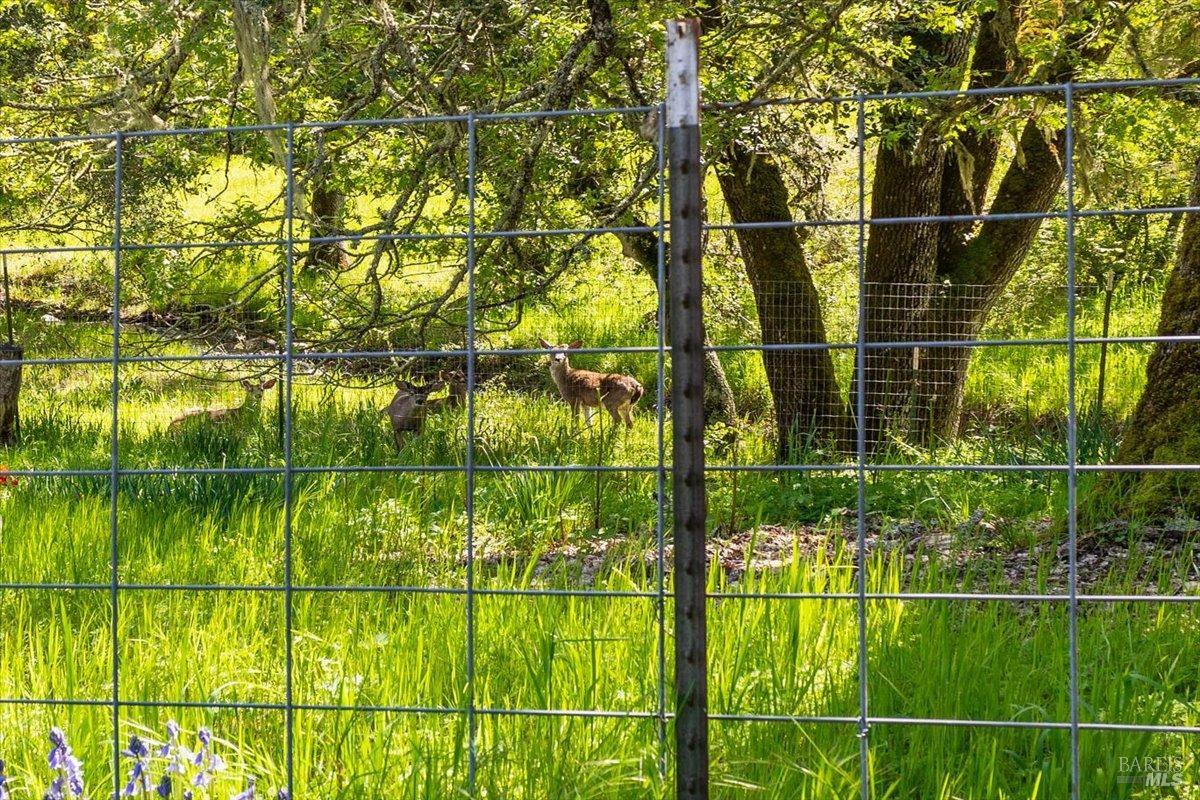 4820 Bennett Valley Road