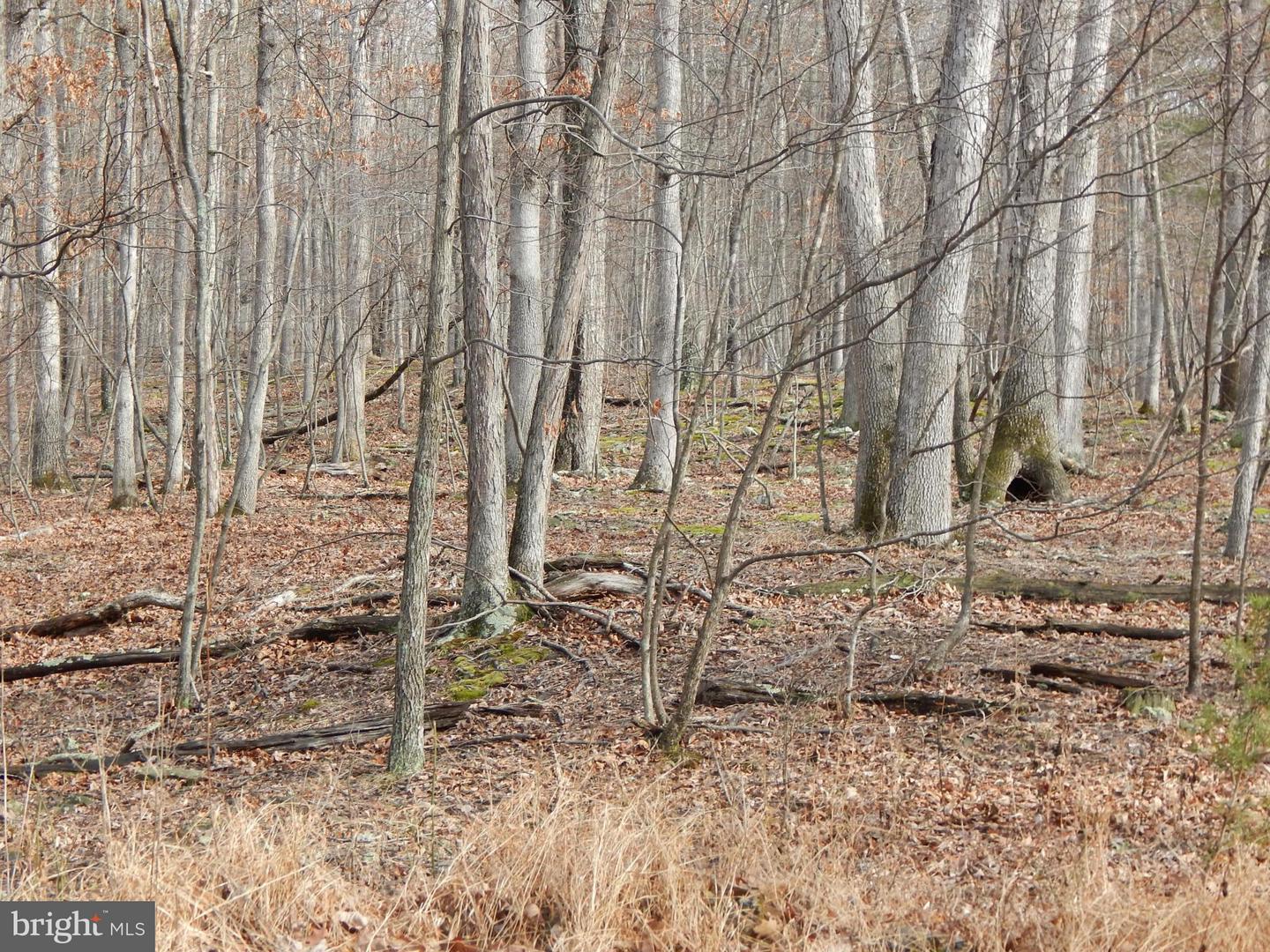 Circling Hawk LANE
