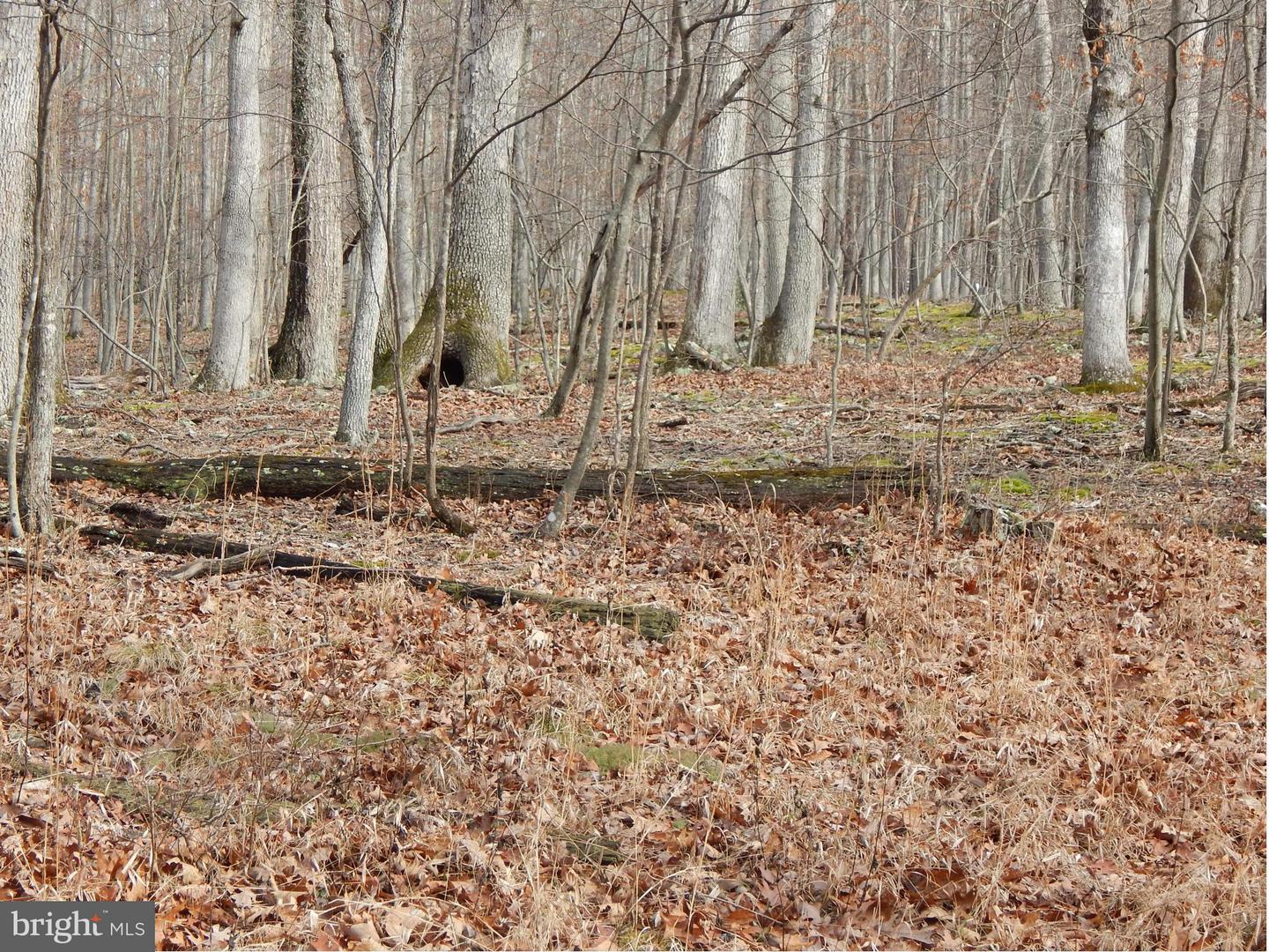 Circling Hawk LANE