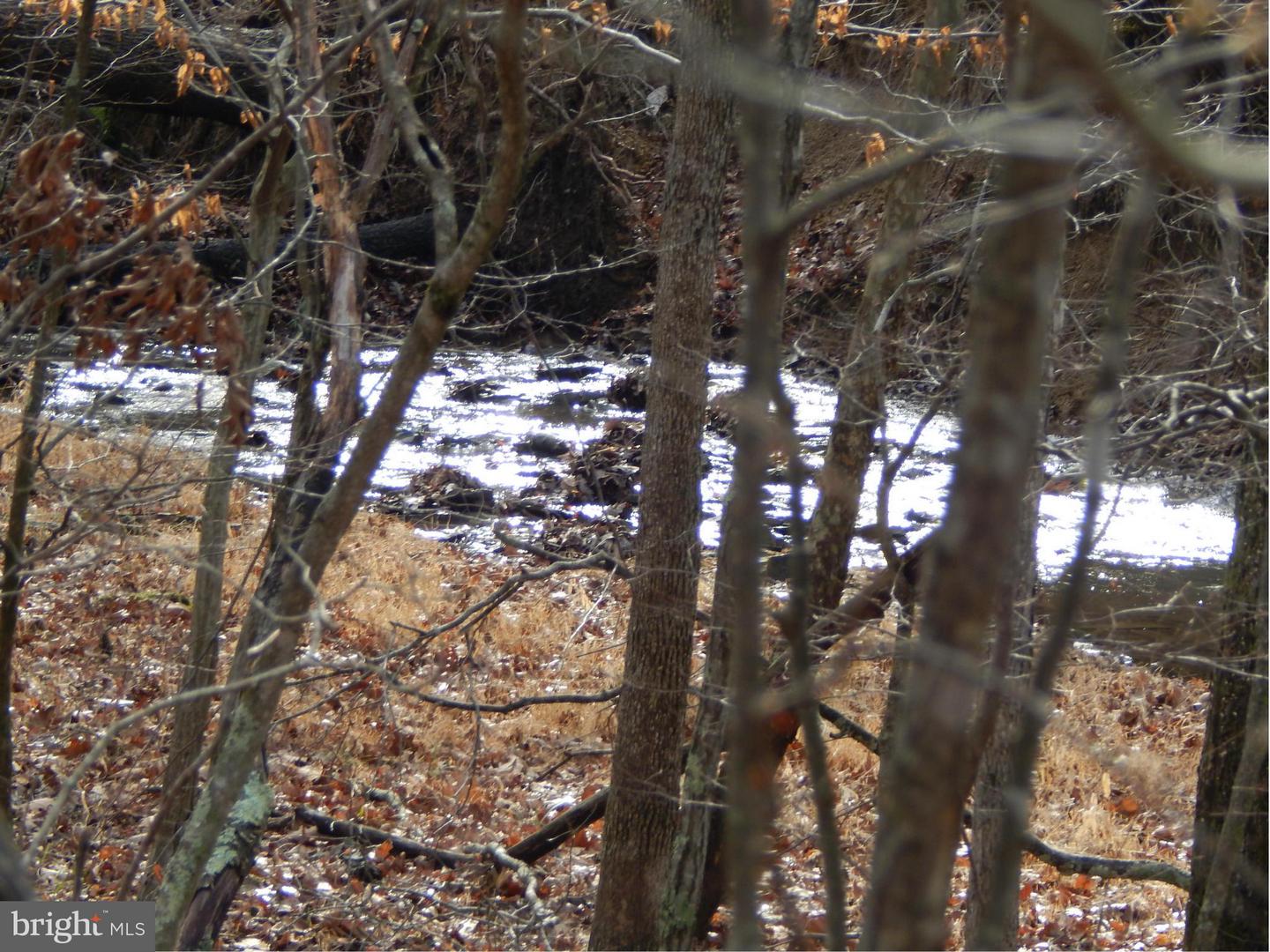 Circling Hawk LANE