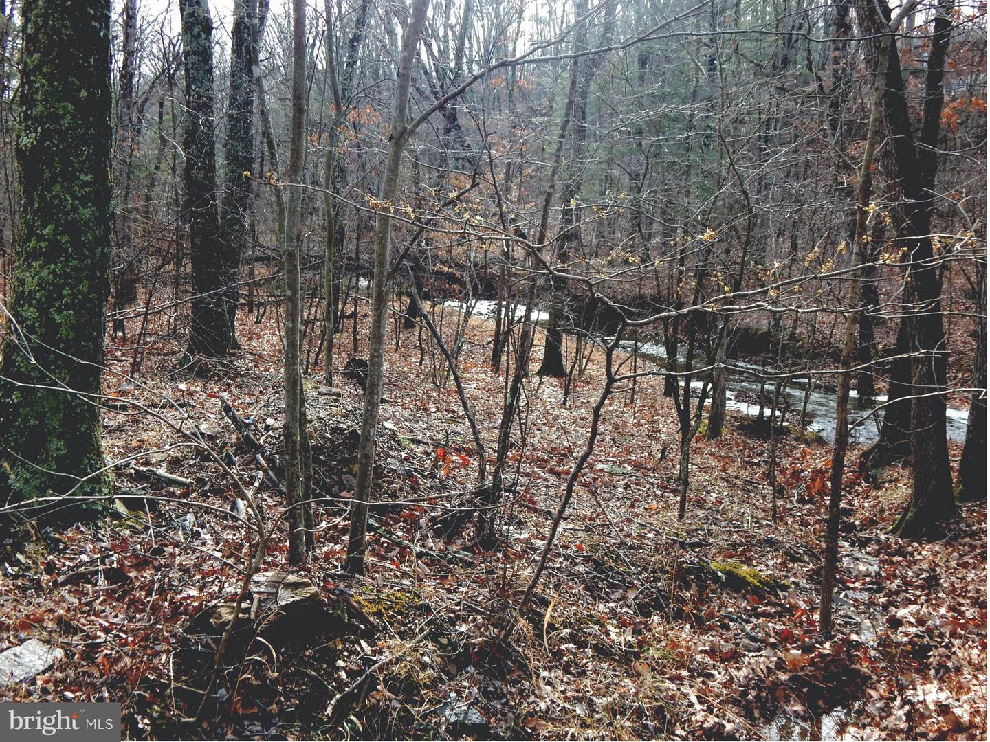 Circling Hawk LANE