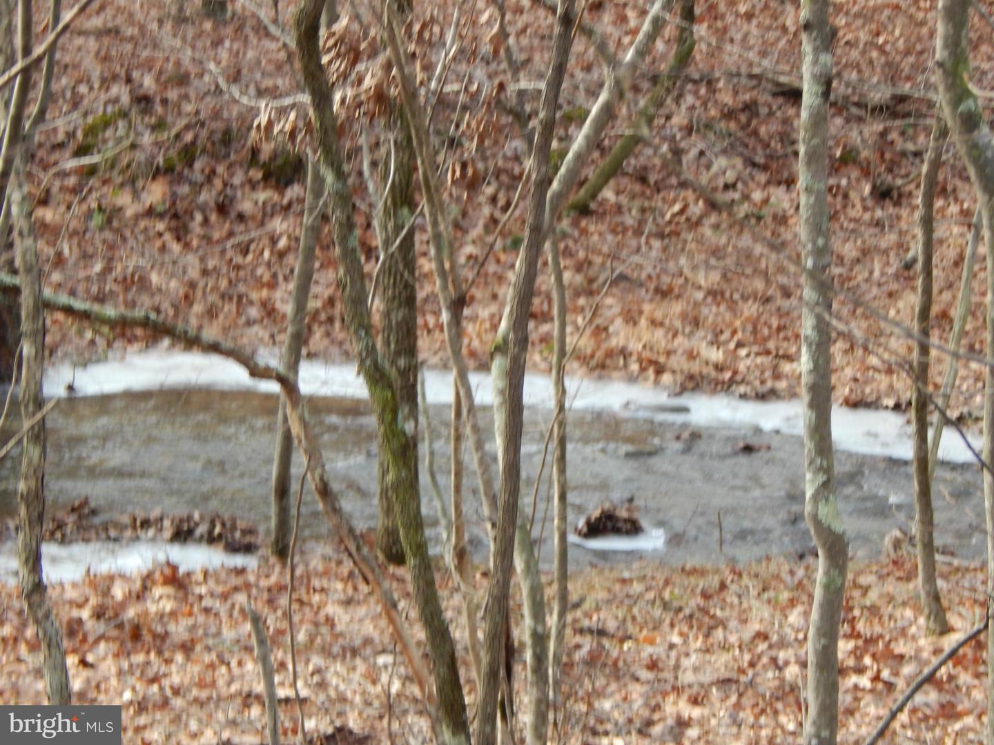 Circling Hawk LANE
