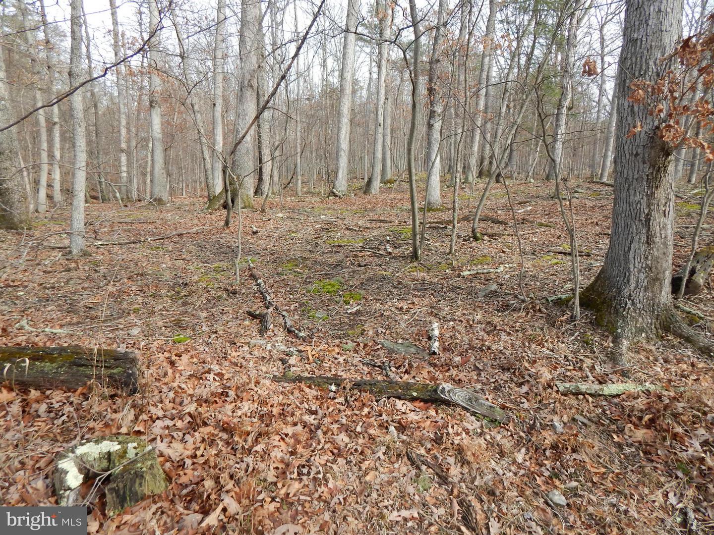 Circling Hawk LANE