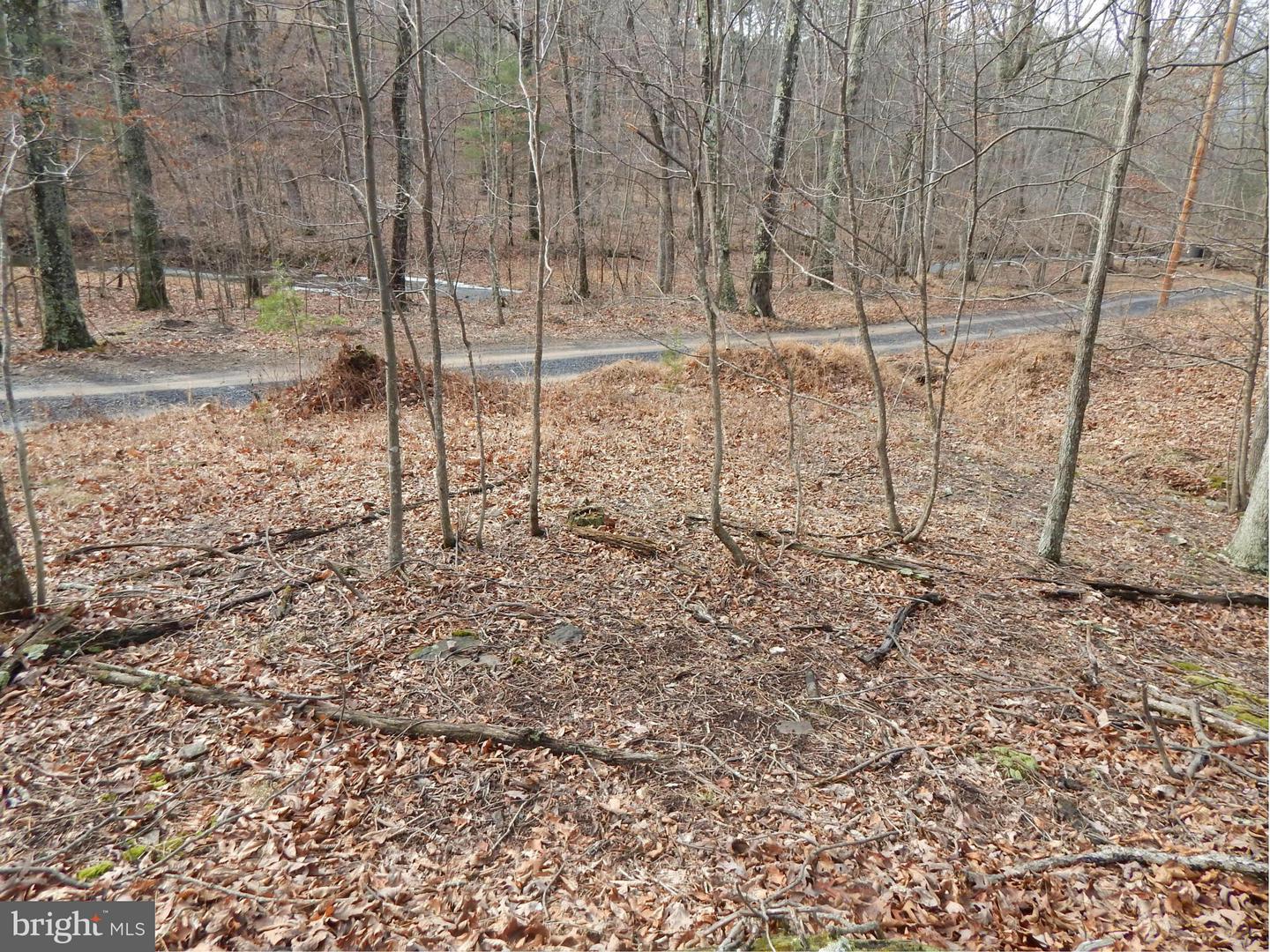 Circling Hawk LANE