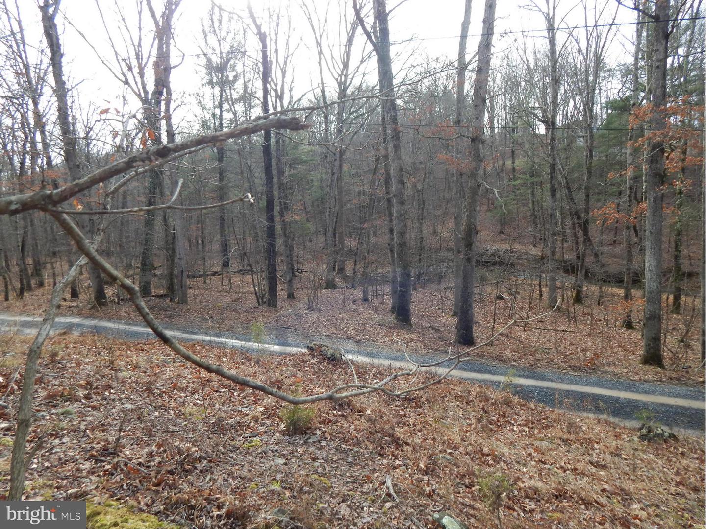 Circling Hawk LANE