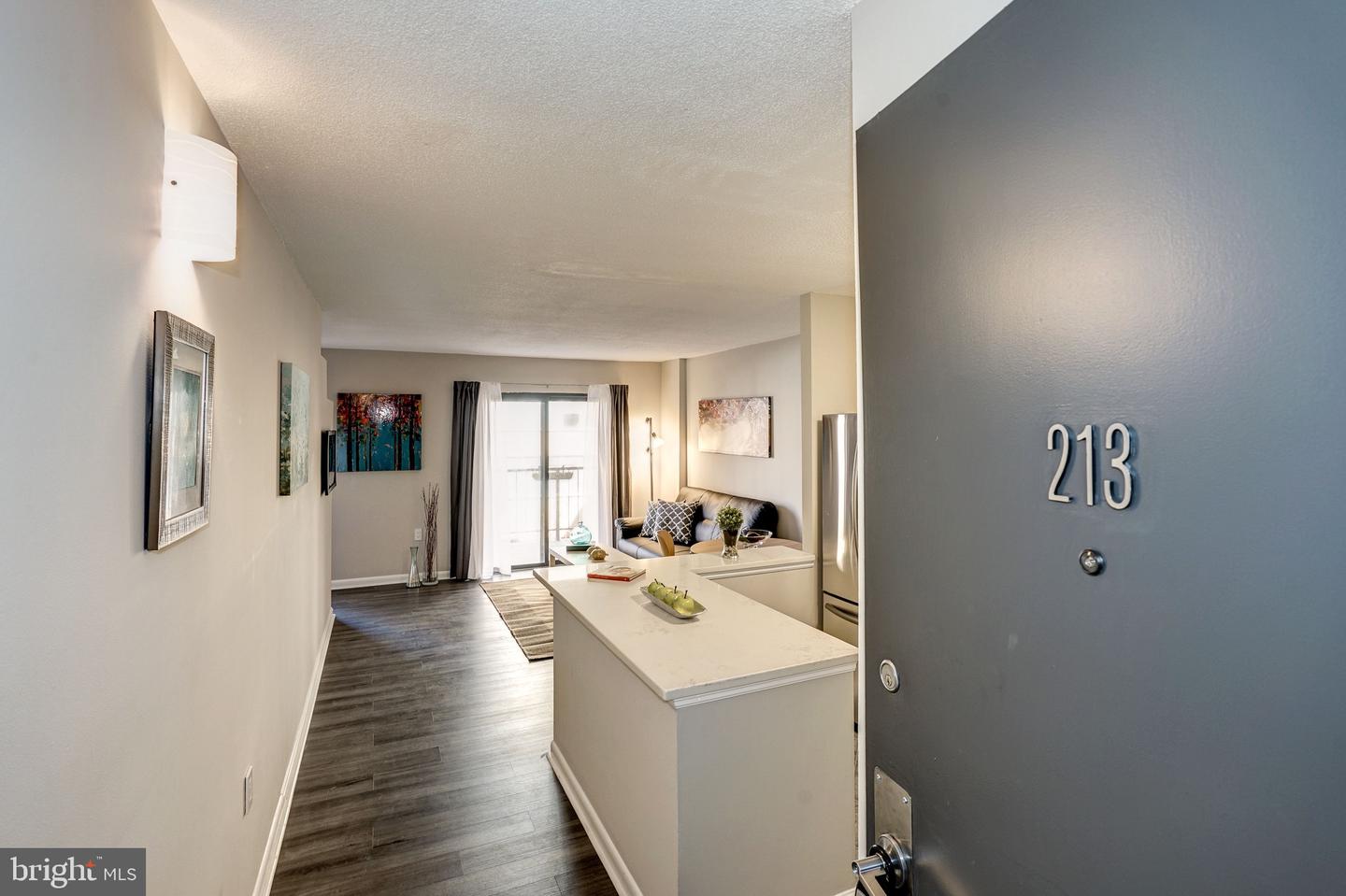 1718 P STREET NW Unit: 213