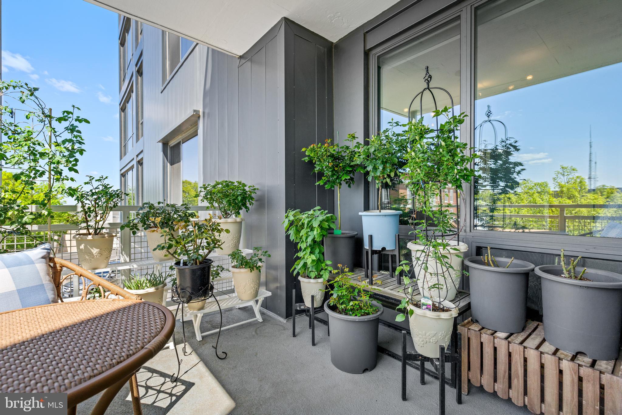 4101 Albemarle St NW #336