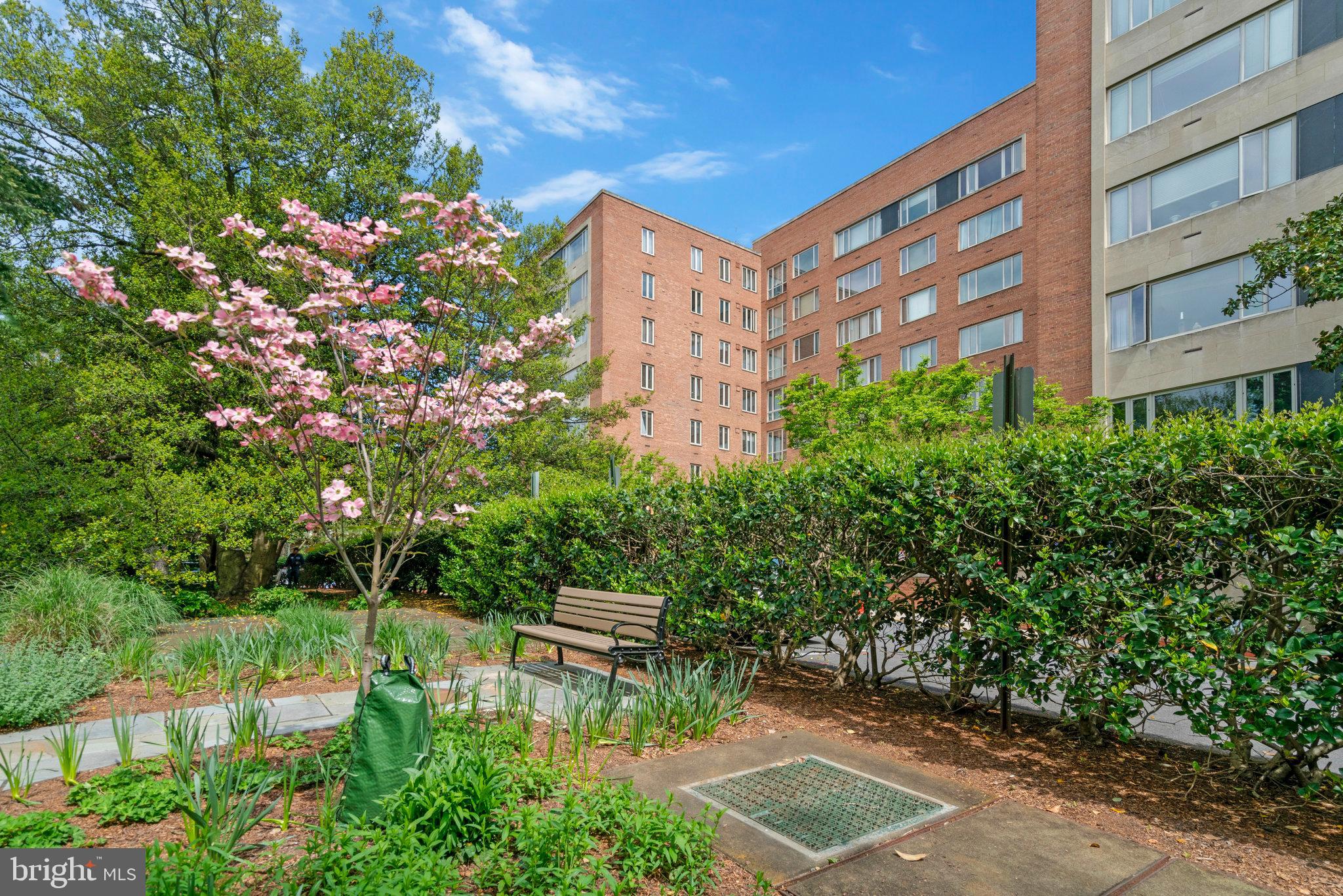 4301 Massachusetts Ave NW #6012