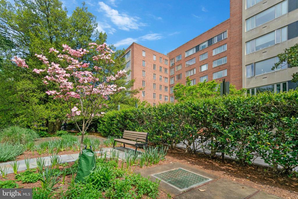 4301 Massachusetts Ave NW #6012
