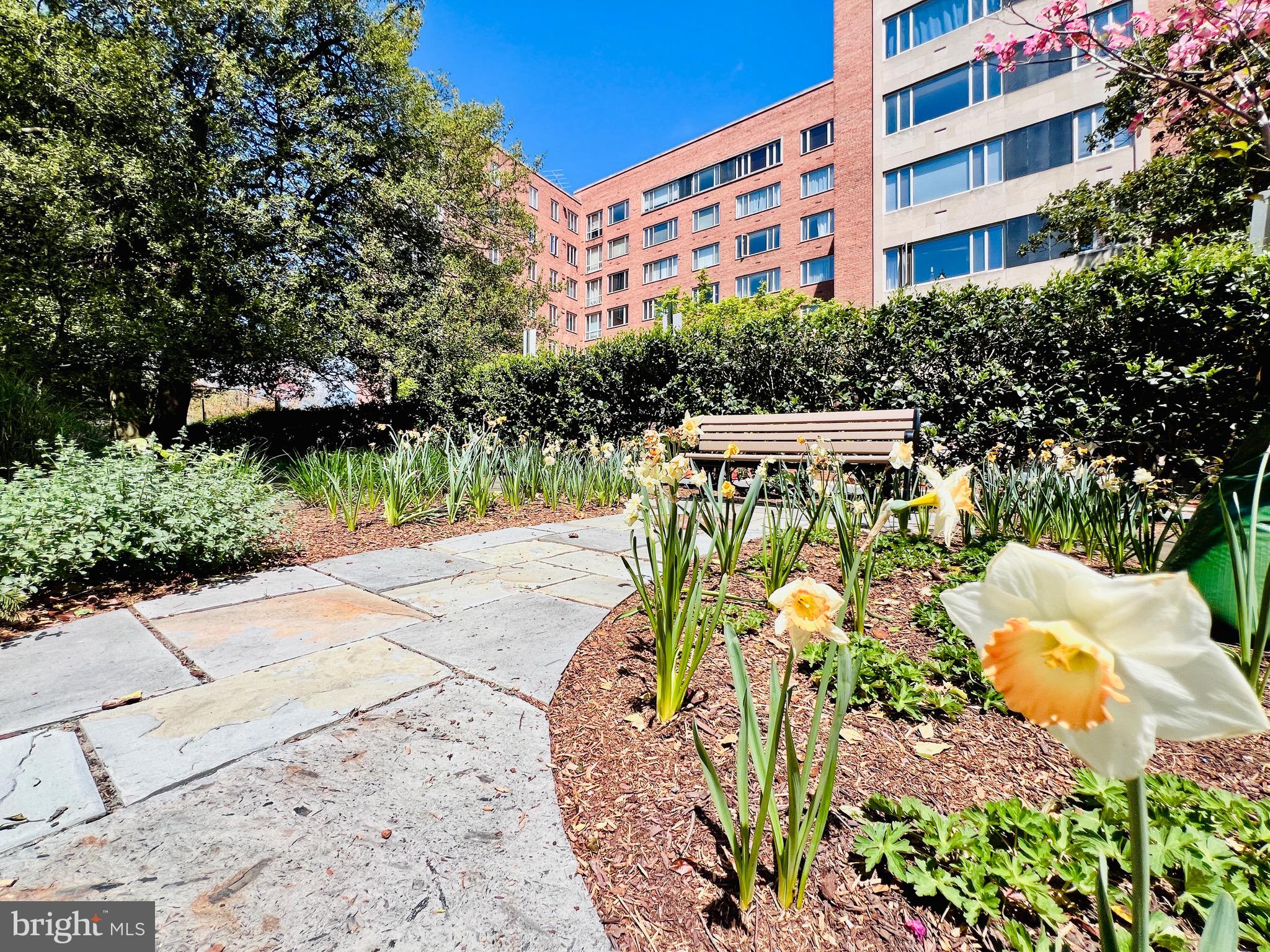 4301 Massachusetts Ave NW #6012