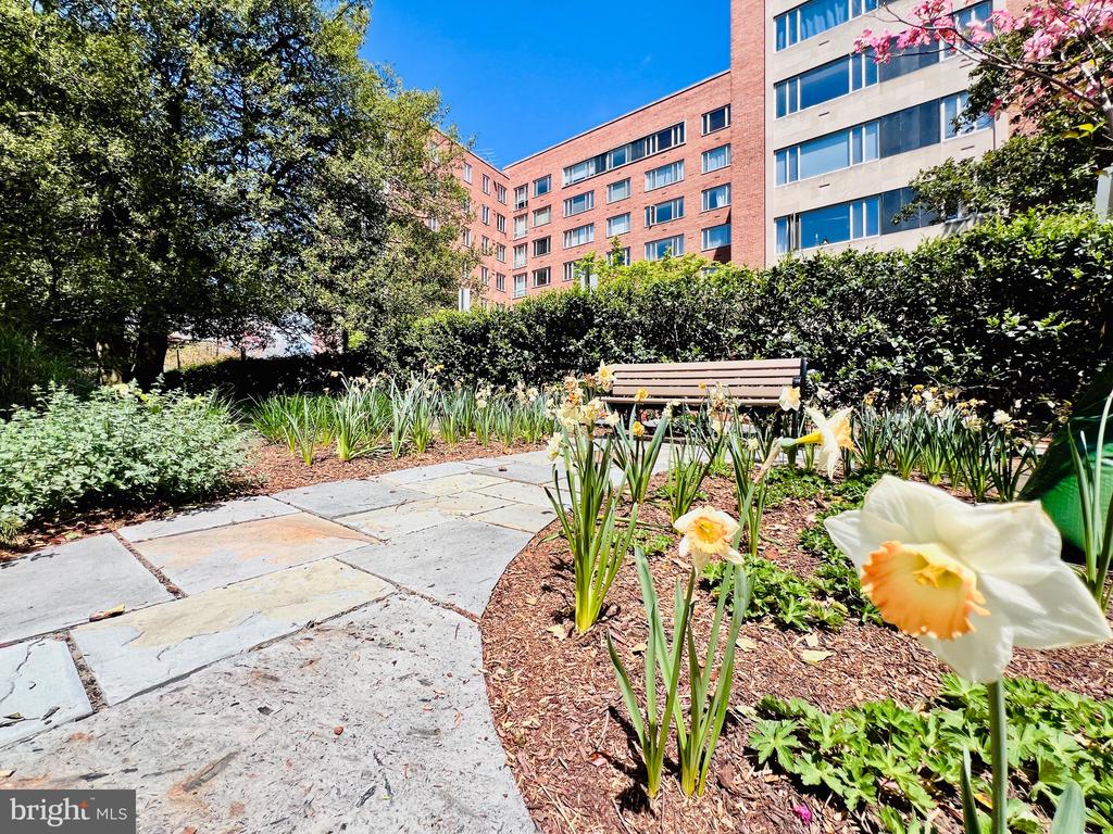 4301 Massachusetts Ave NW #6012