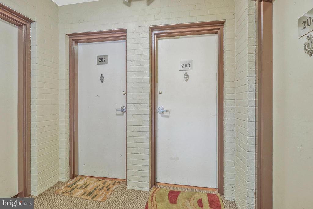 907 Euclid St NW #203