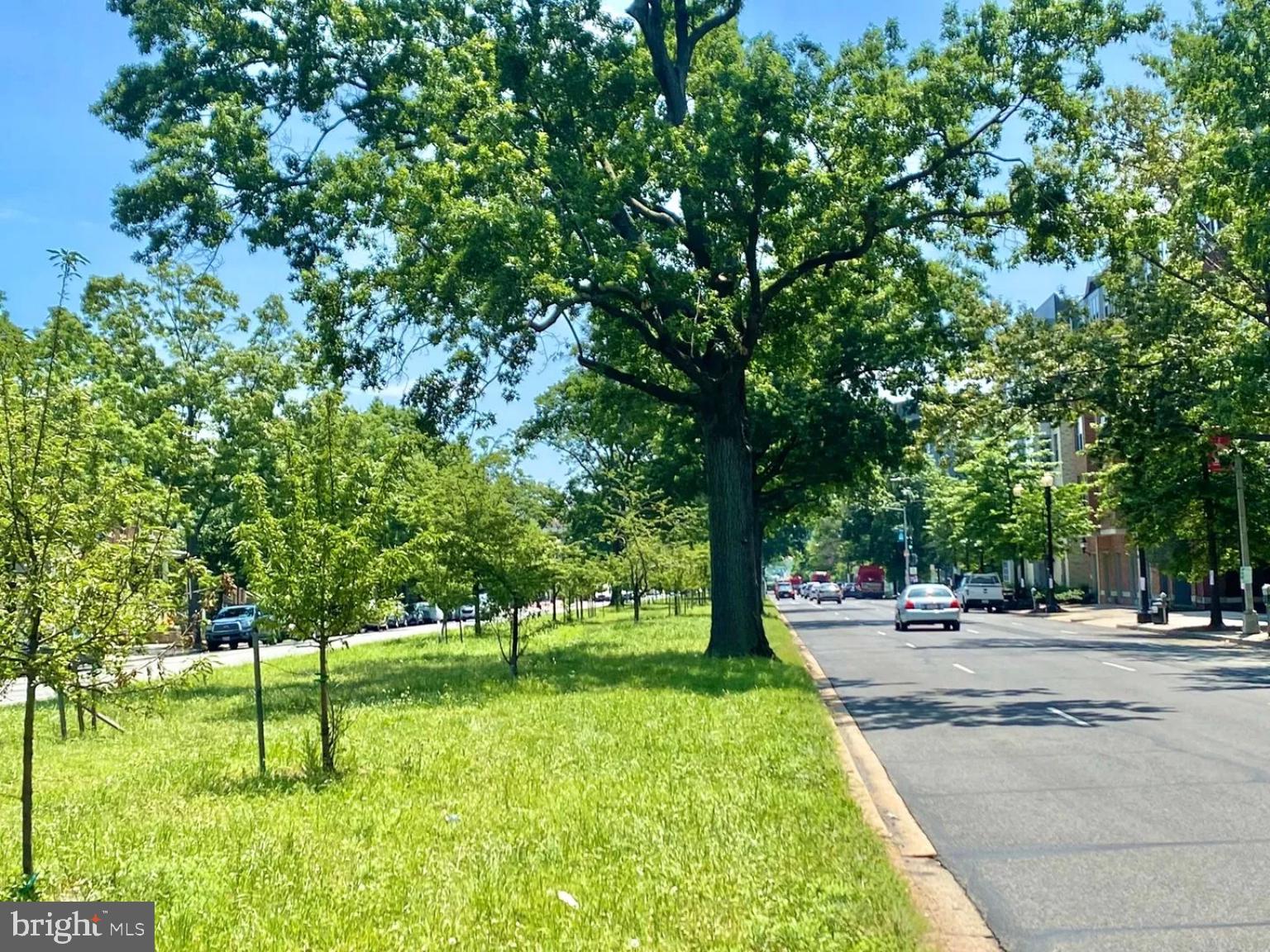 1315 PENNSYLVANIA AVE SE #B