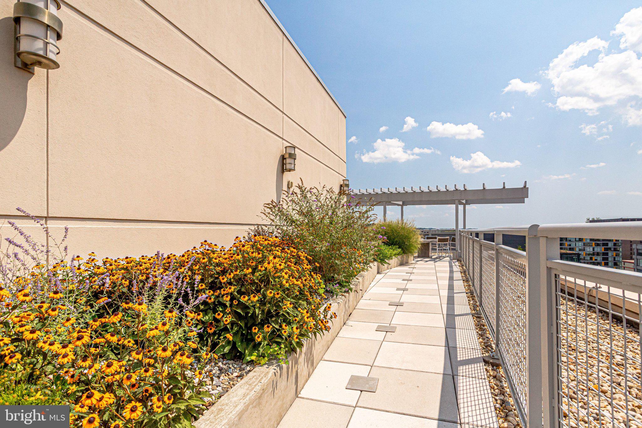 1025 1ST STREET SE 907