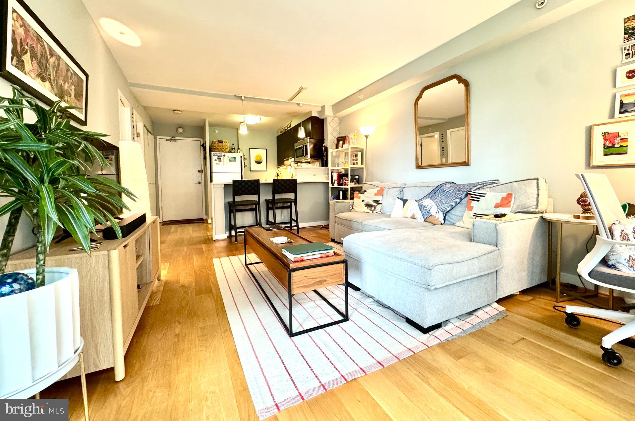 1101 3RD STREET SW 509