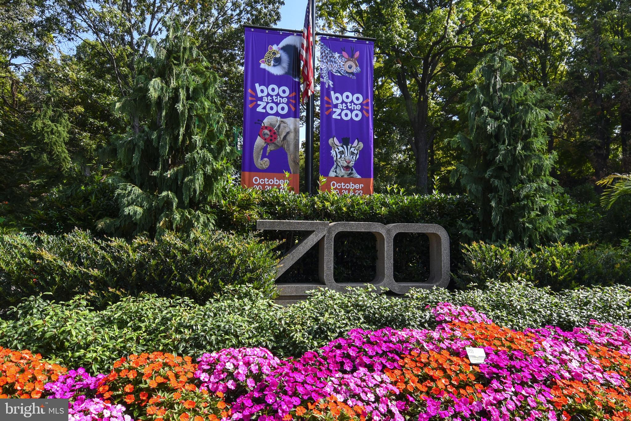 1731 WILLARD STREET NW 105