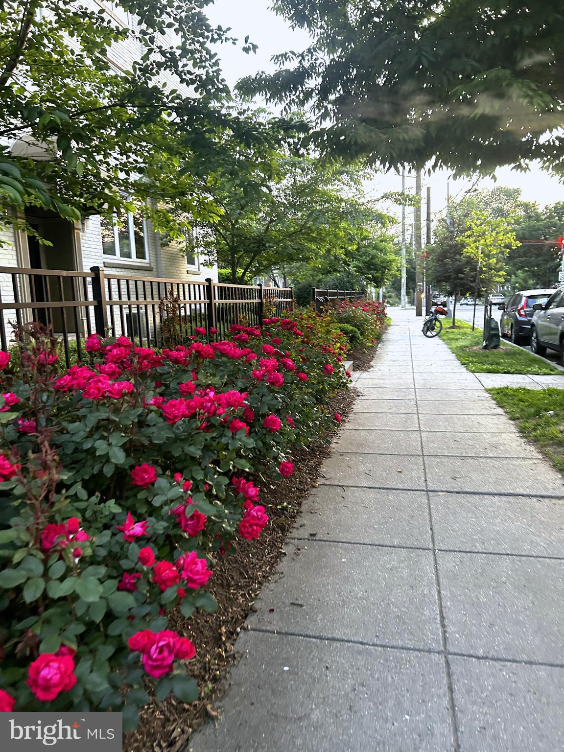 110 GALLATIN STREET NW 11