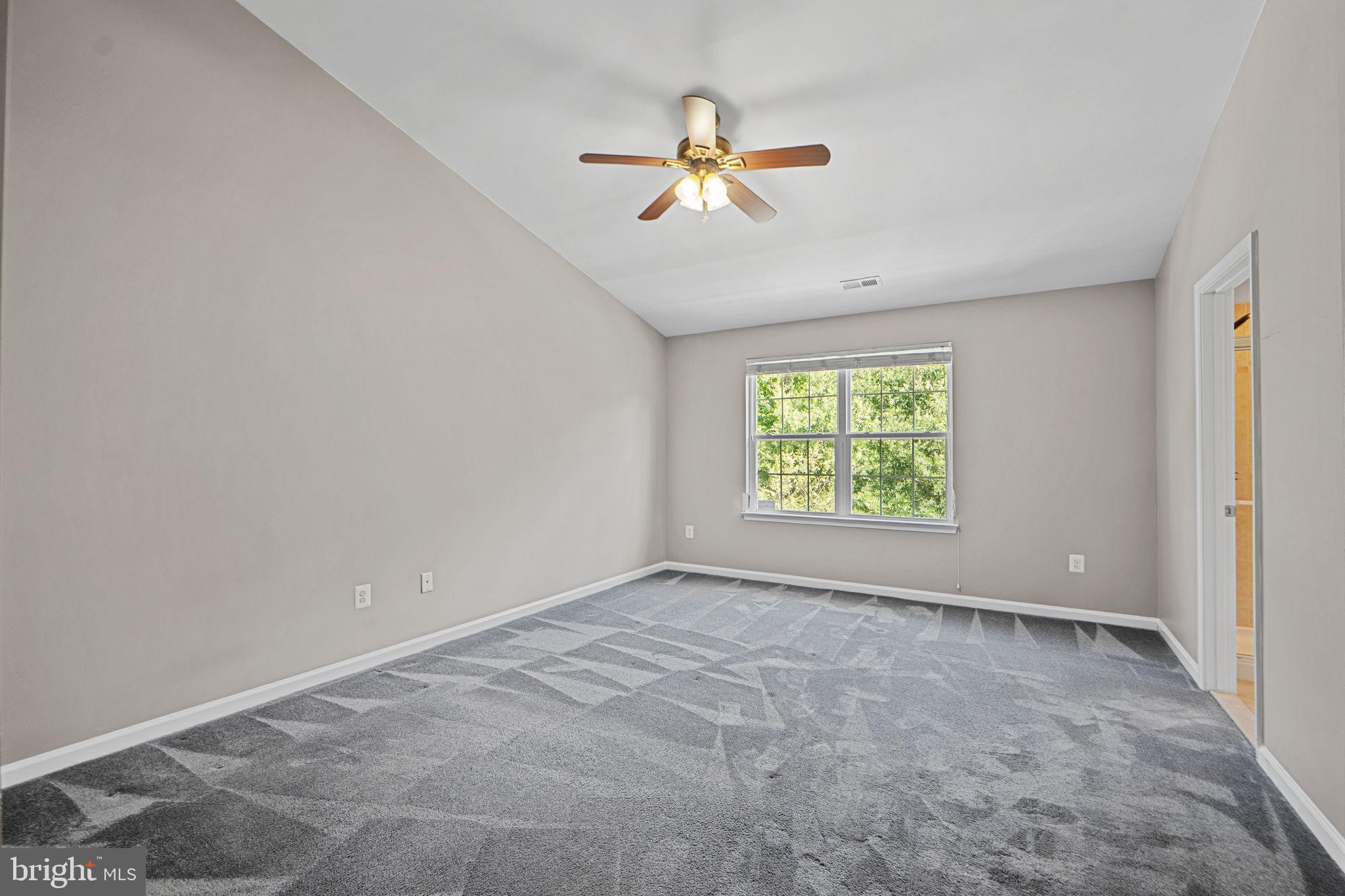 1036 PULTNEY LANE