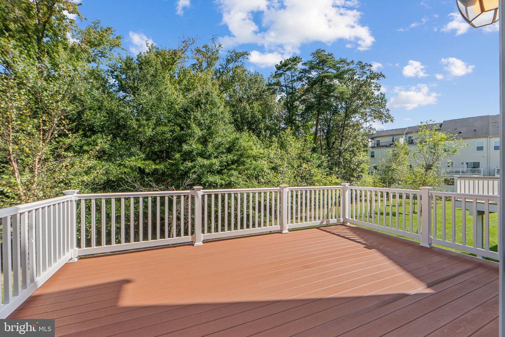 1036 PULTNEY LANE