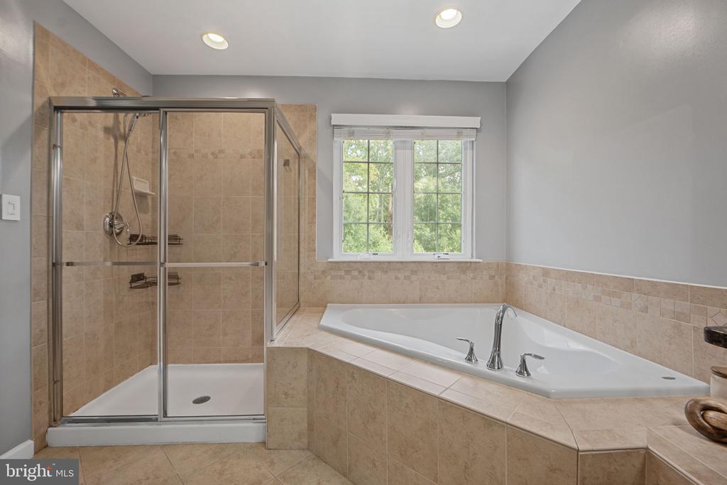 1036 PULTNEY LANE