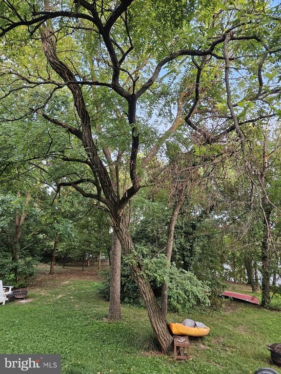1244 SWANHILL COURT