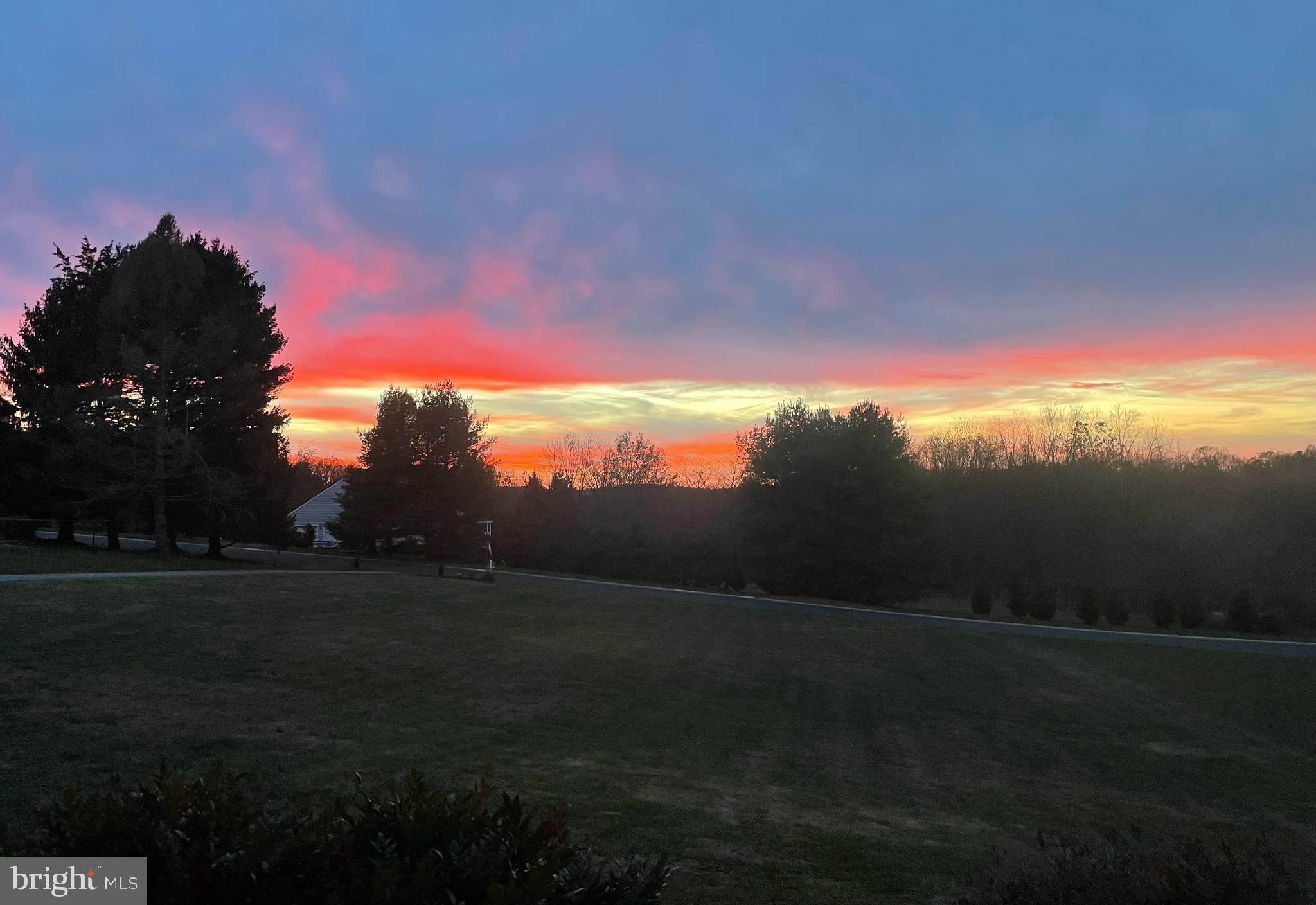 16905 DAISY DELL COURT