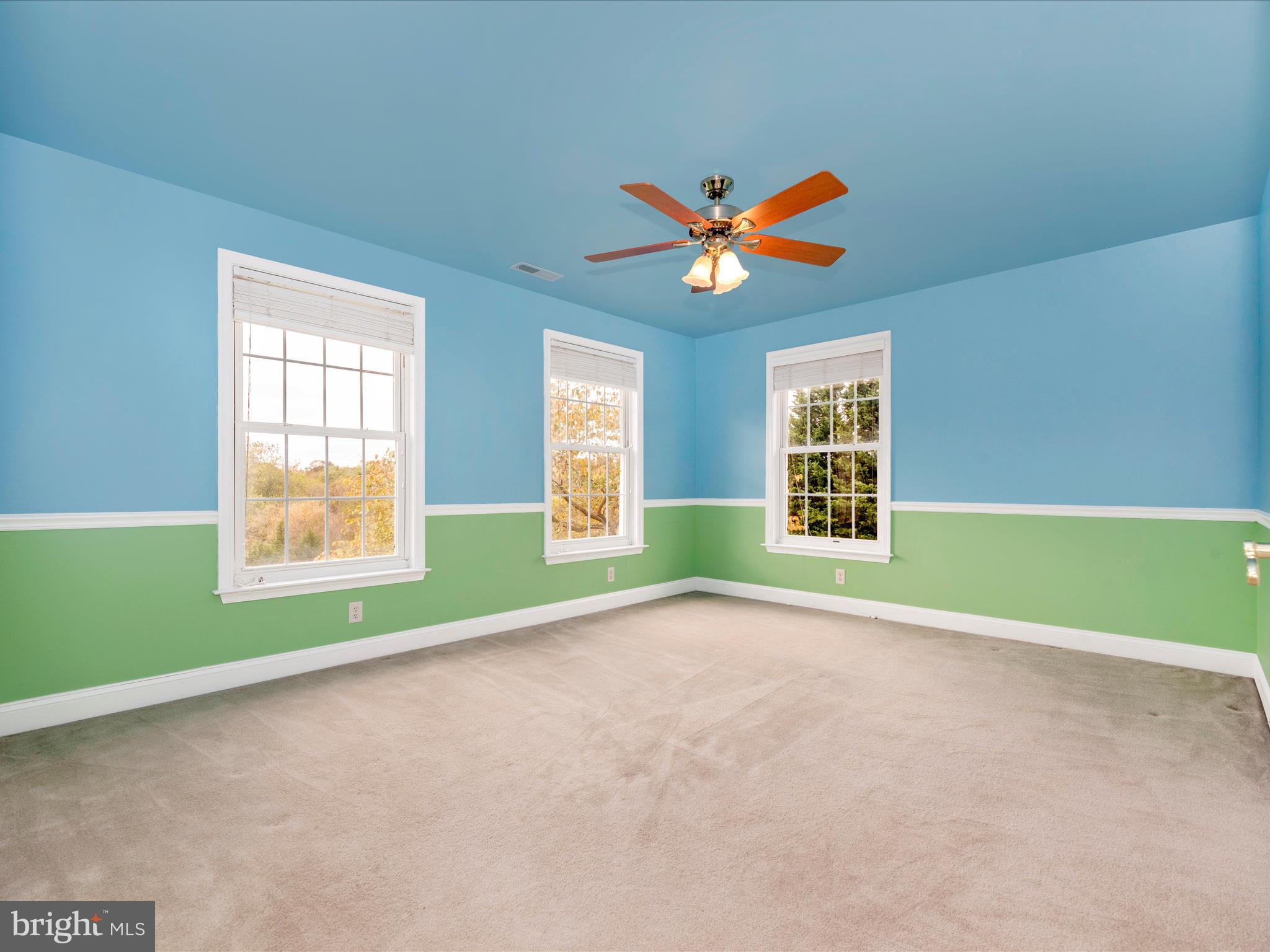 16905 DAISY DELL COURT