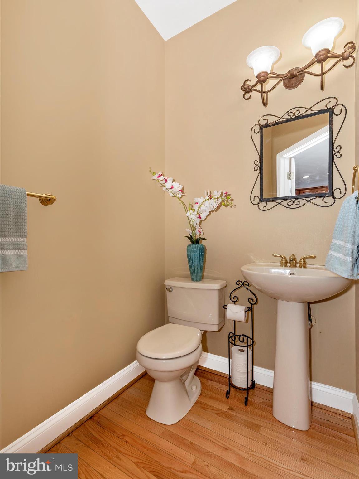 16905 DAISY DELL COURT