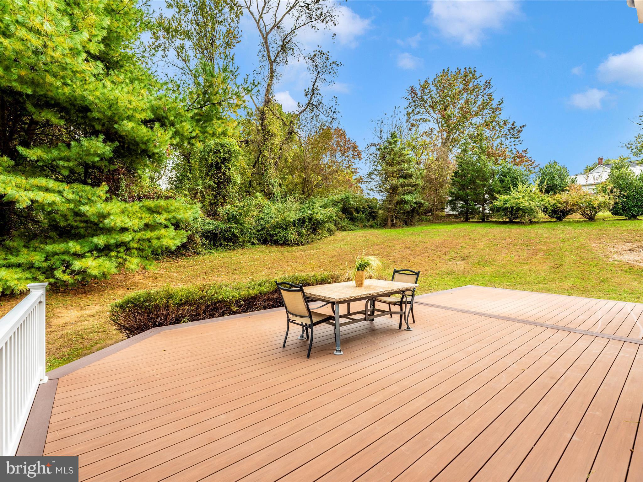 16905 DAISY DELL COURT