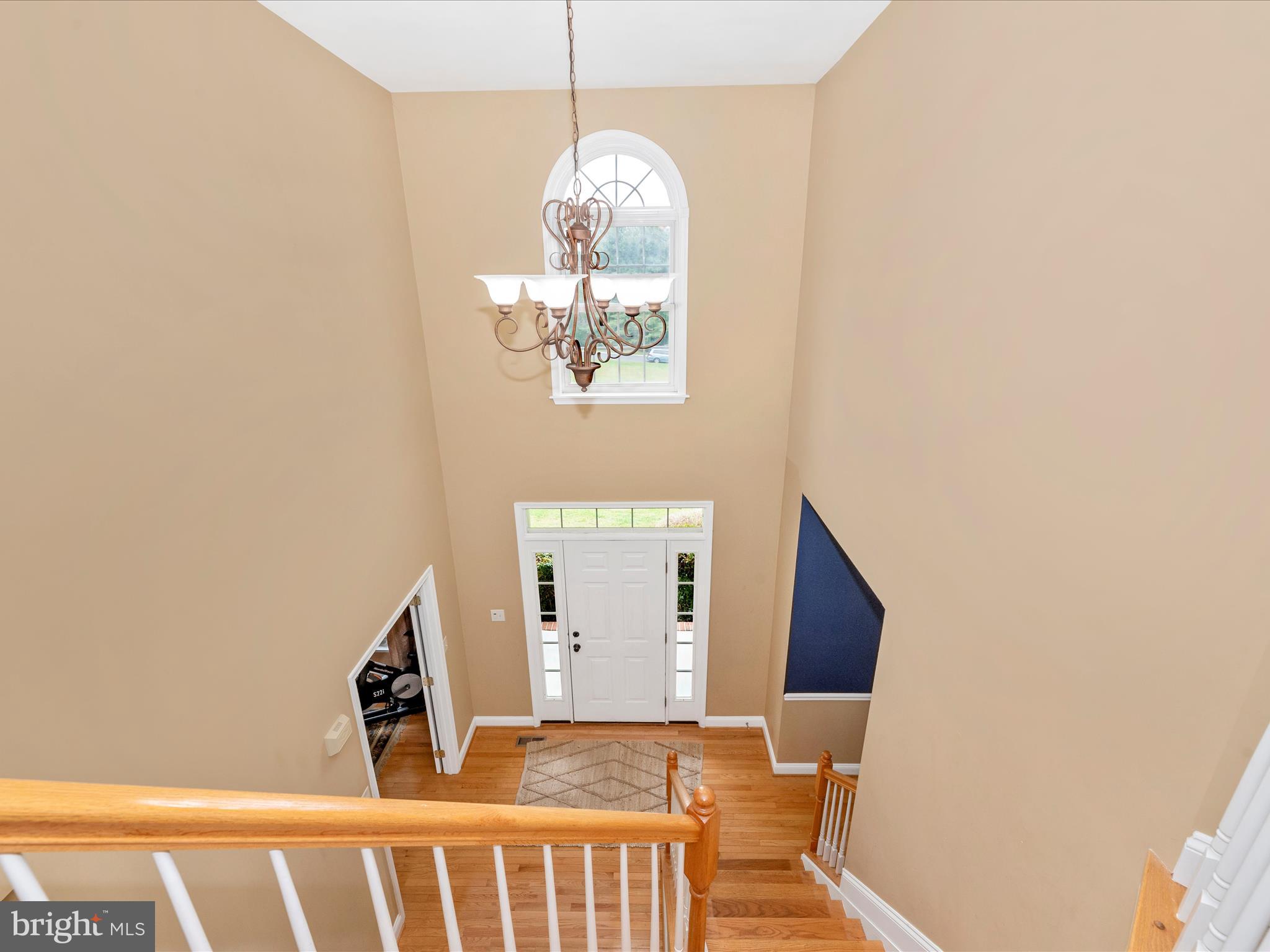 16905 DAISY DELL COURT