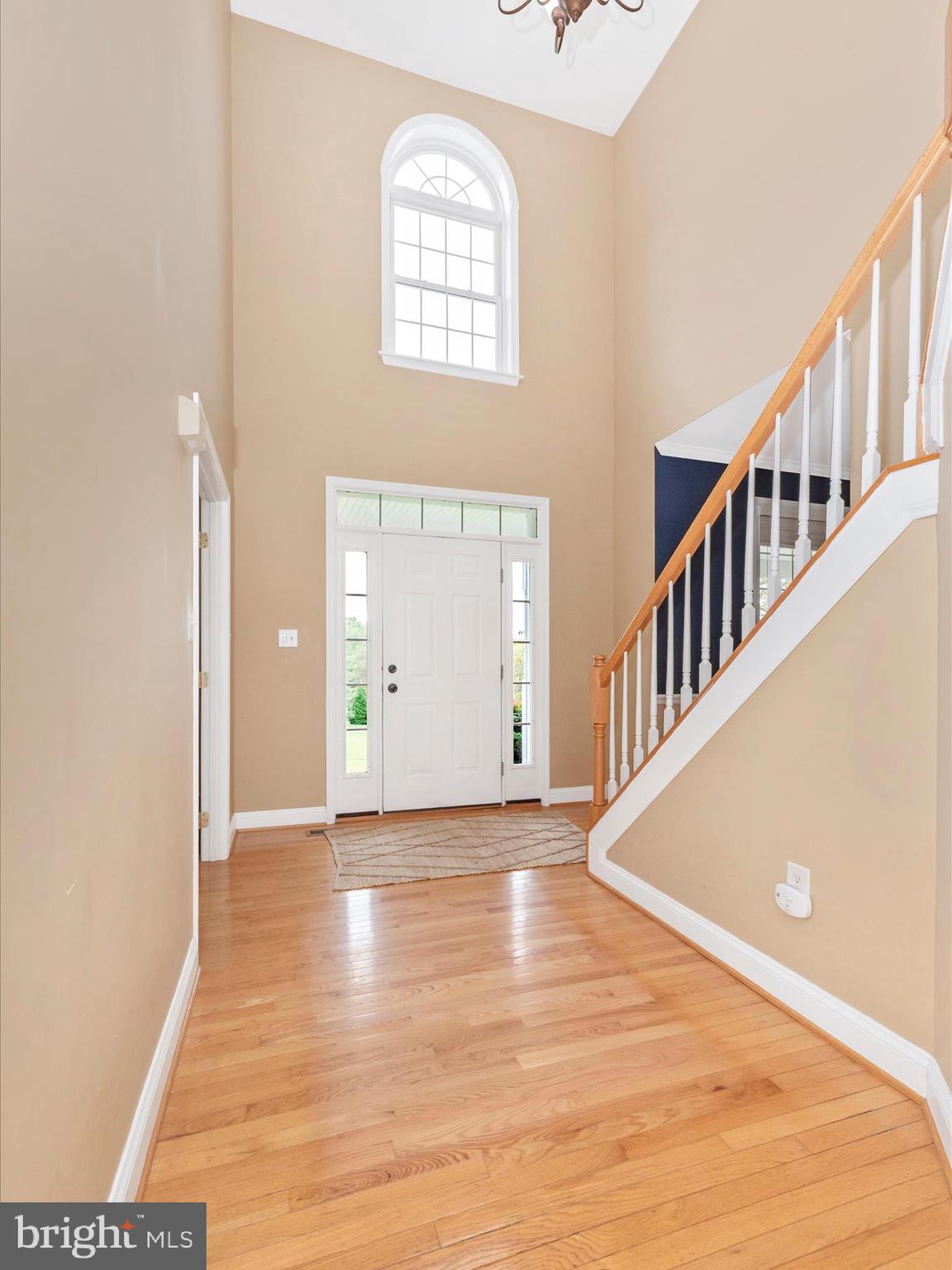 16905 DAISY DELL COURT