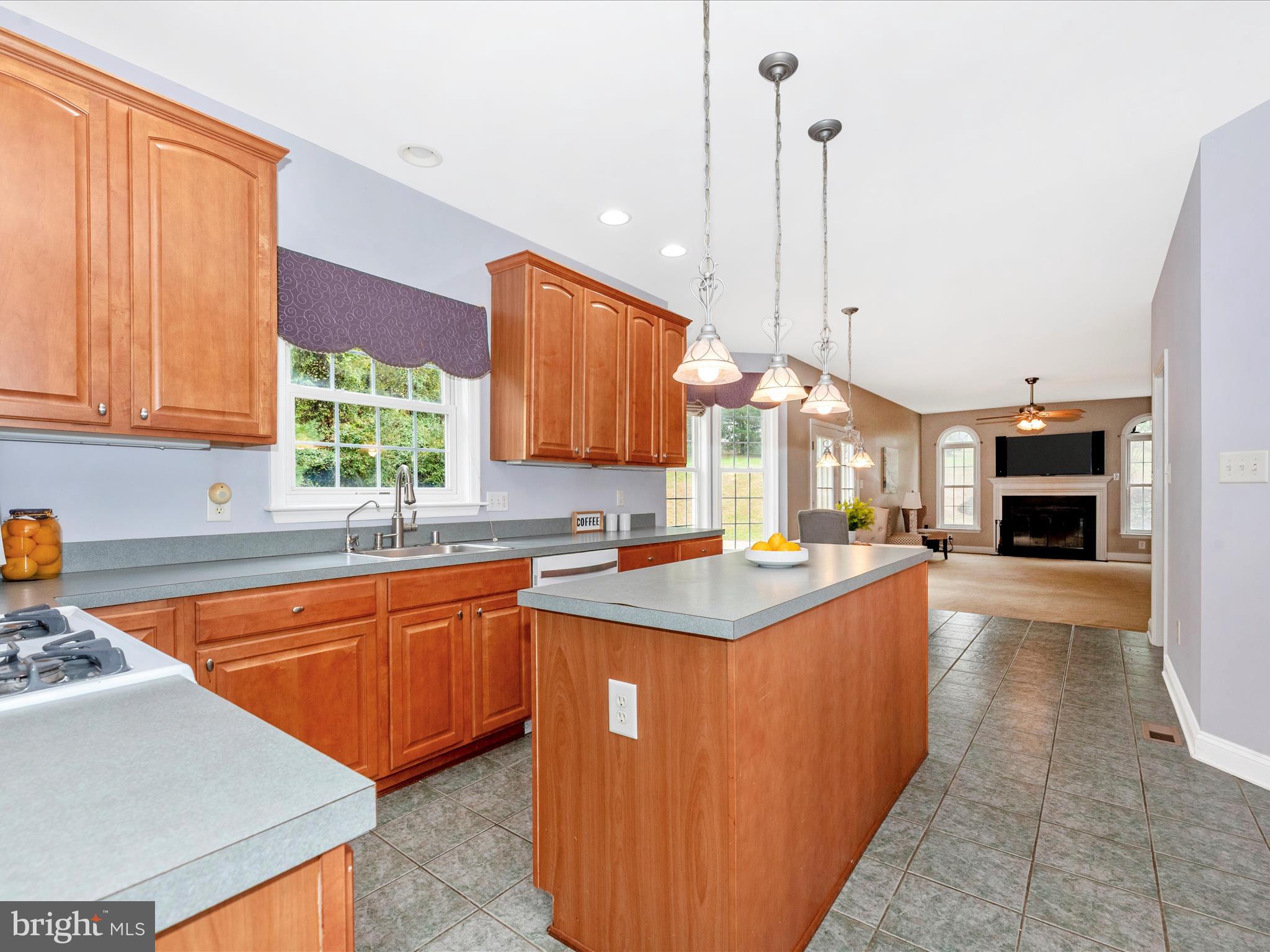 16905 DAISY DELL COURT