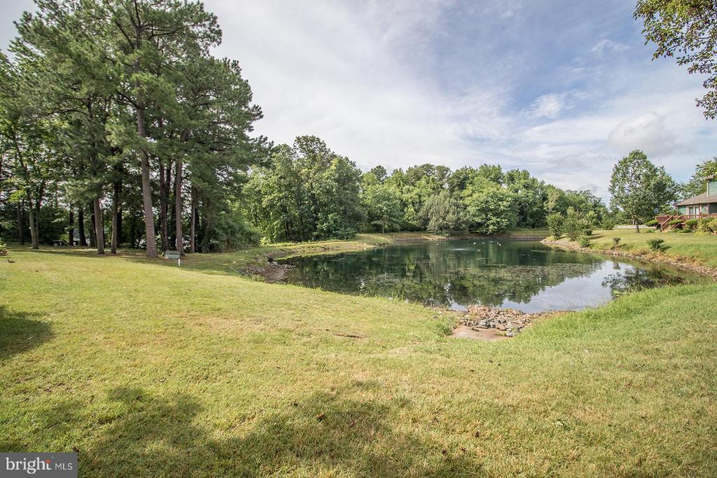763 BELLE FIELD ROAD 135