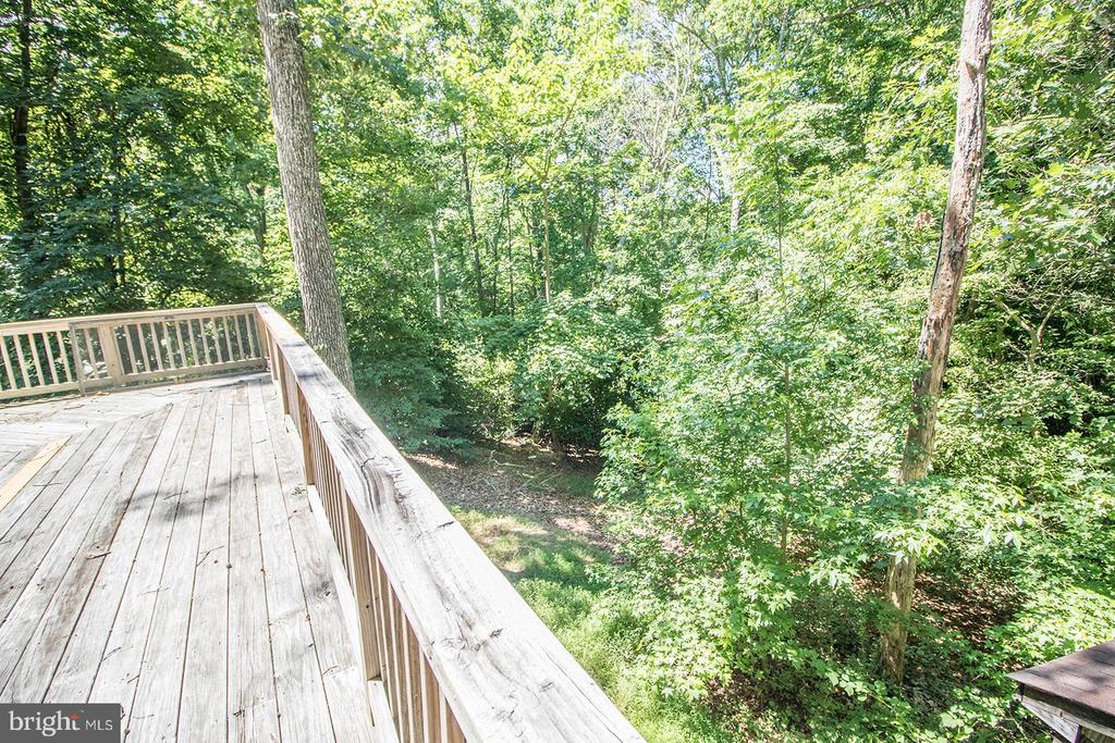 11513 RUNNING FOX CIRCLE