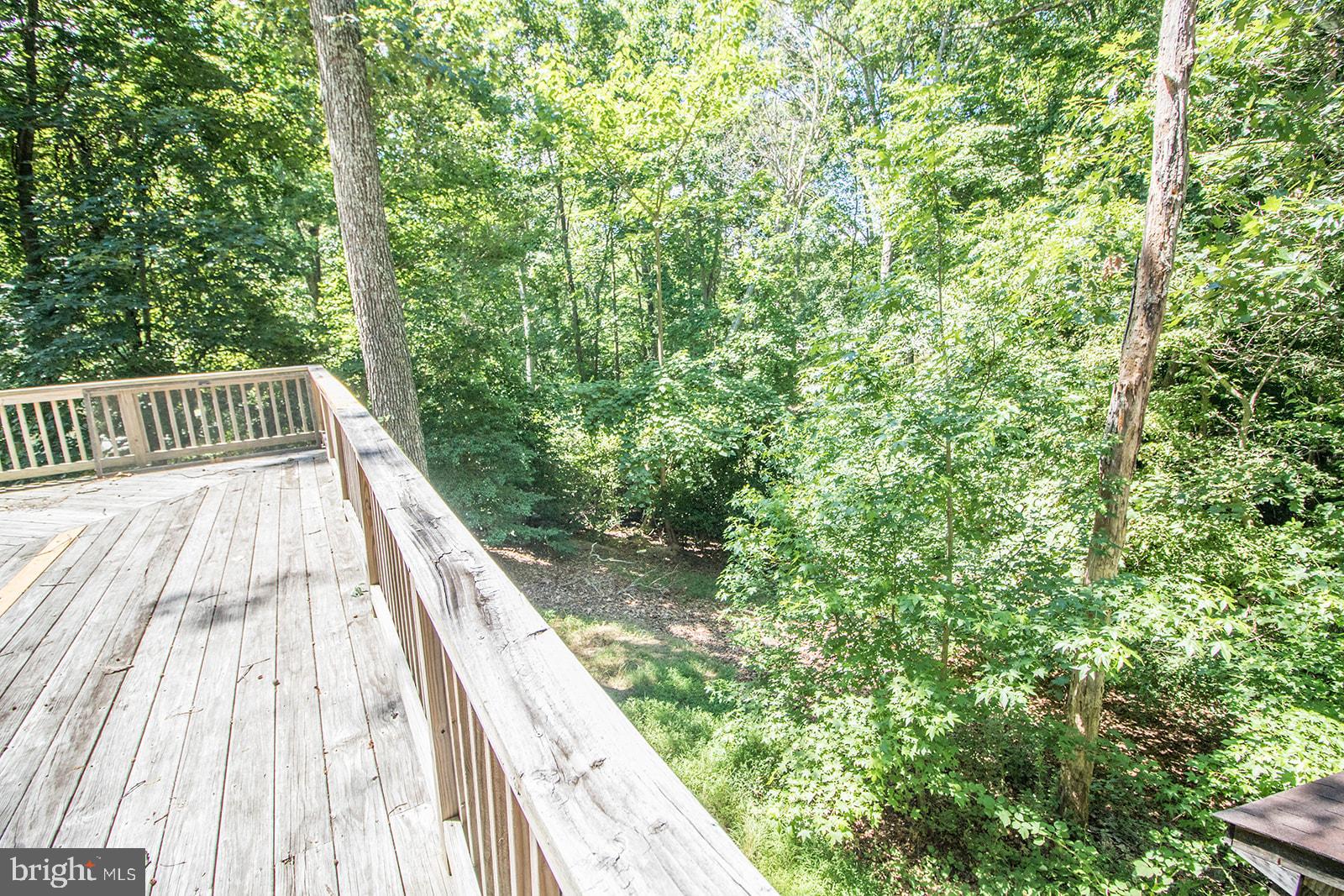 11513 RUNNING FOX CIRCLE