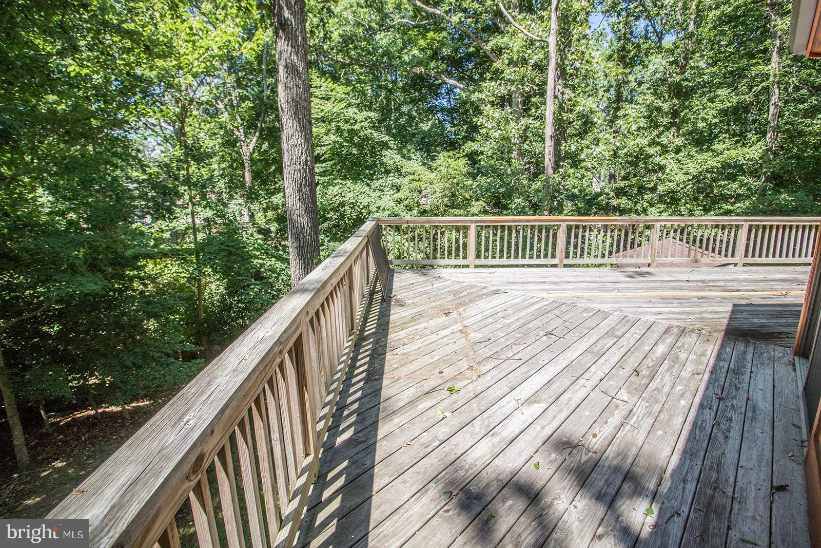 11513 RUNNING FOX CIRCLE