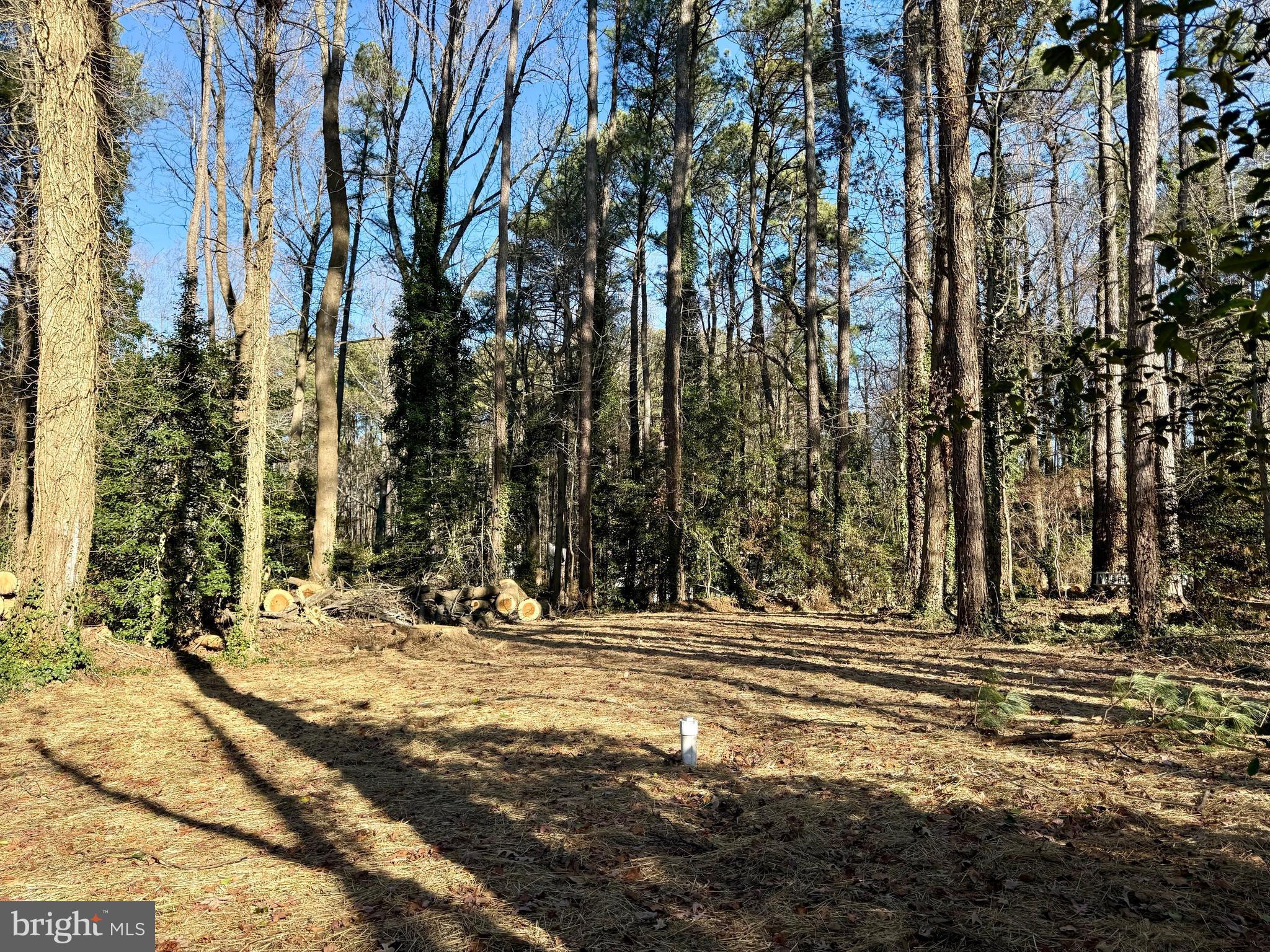 329 OVERLOOK DRIVE