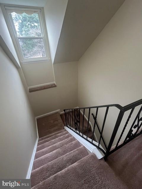 2569 LAUREL BRANCH DRIVE