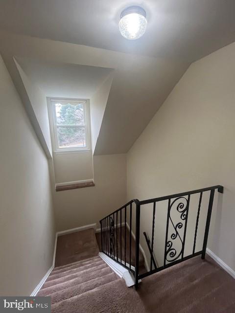 2569 LAUREL BRANCH DRIVE